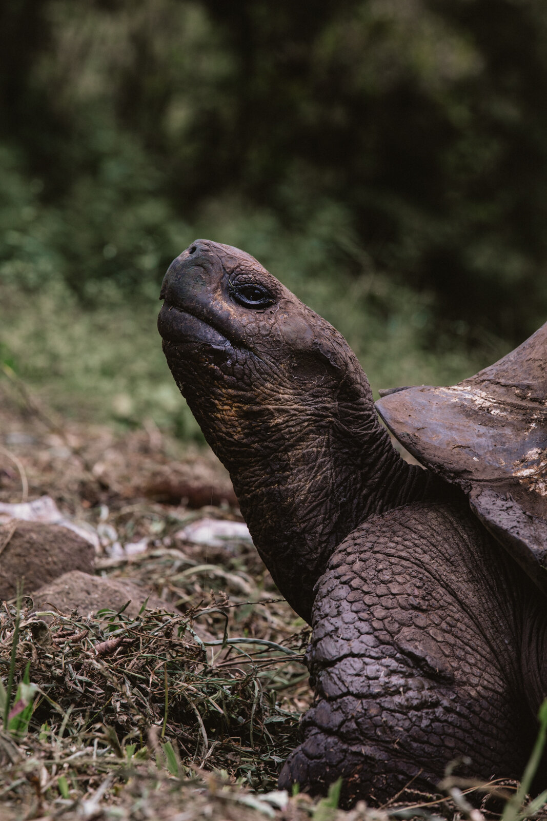 GALAPAGOS_2018-13.jpg