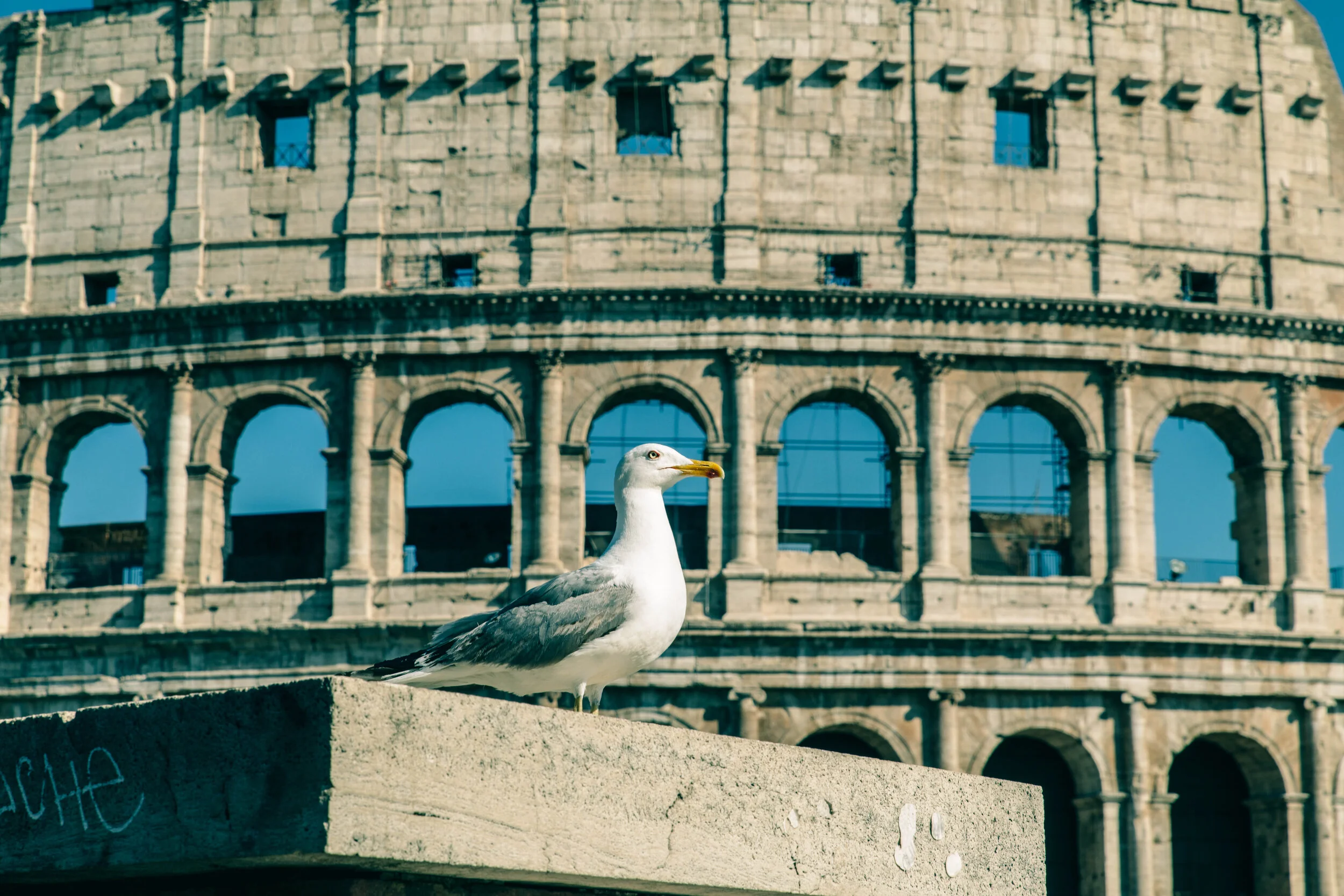 ROME_2017-49.jpg