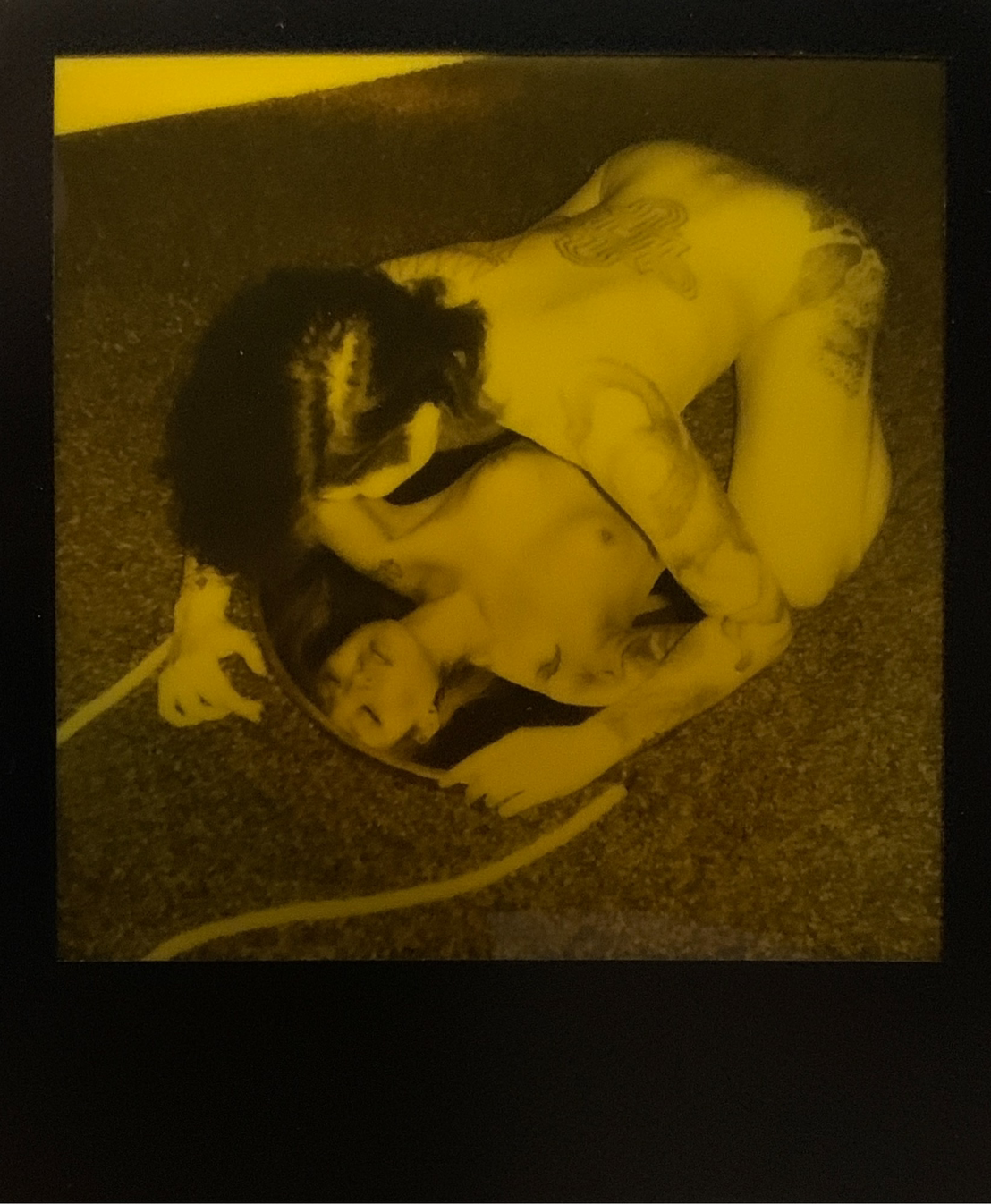 Polaroid Originals 37.png