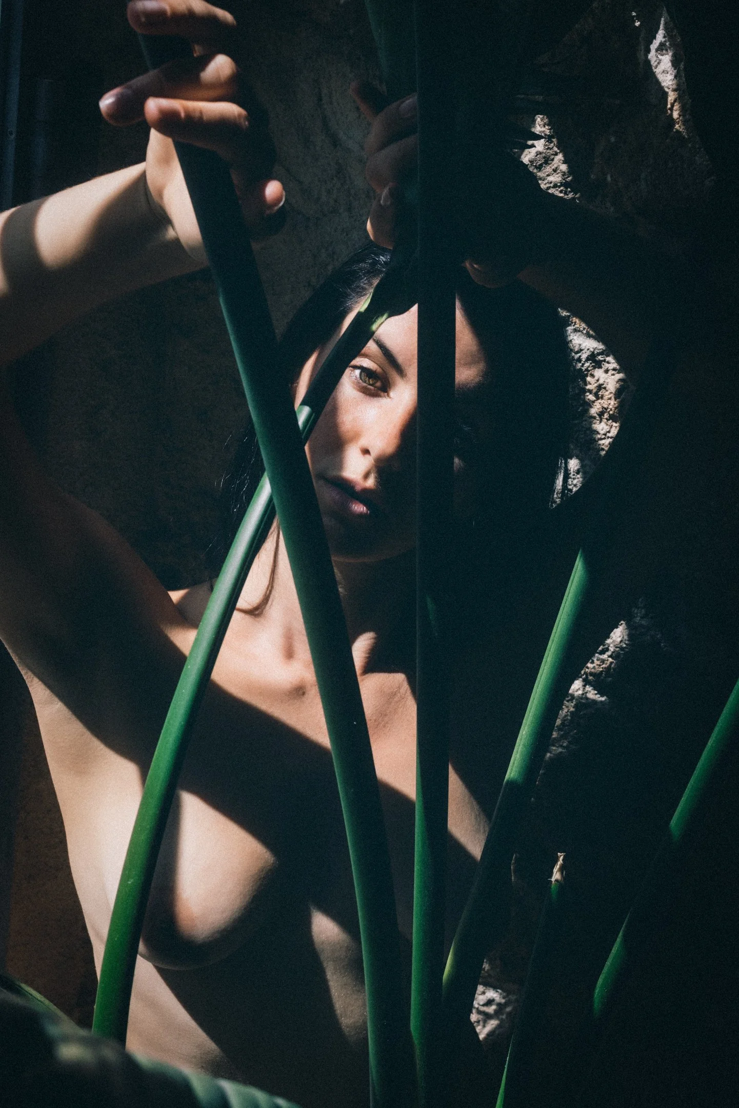 2021_08_VIOLET-2.jpg
