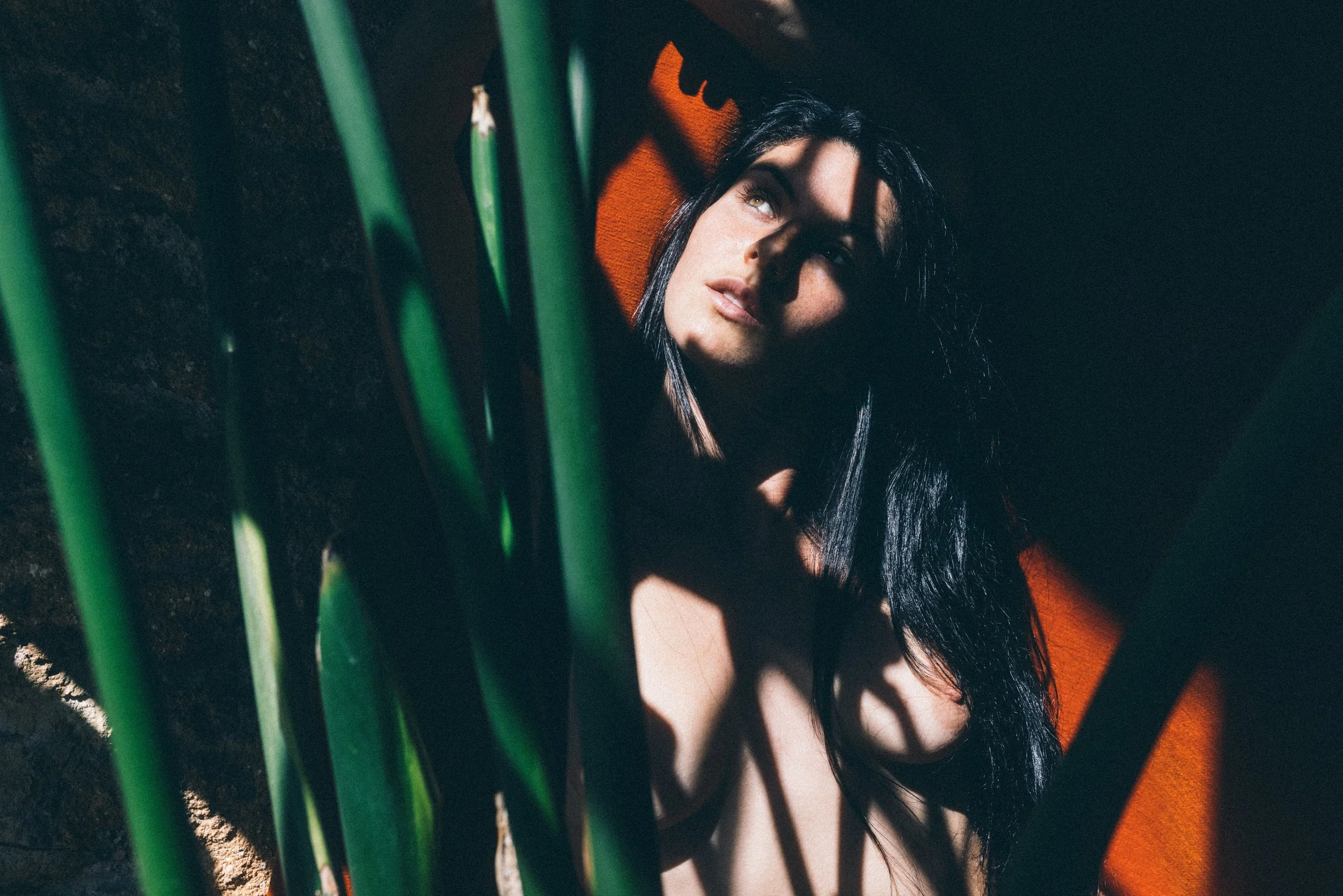 2021_08_VIOLET-3.jpg