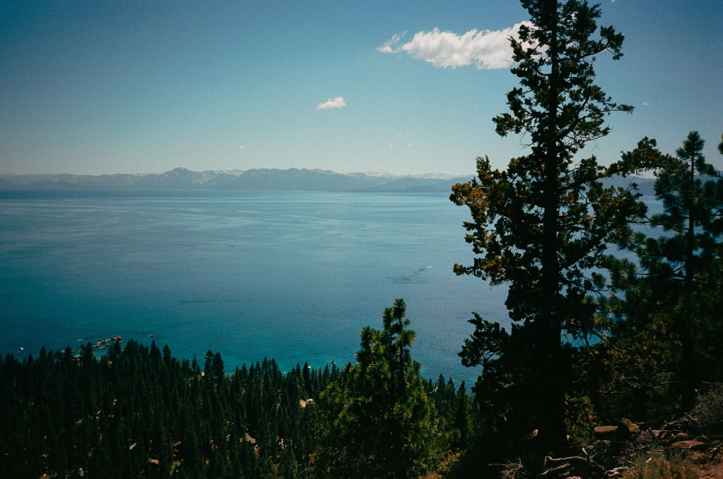 2021_06_FILM_TAHOE-3.jpg