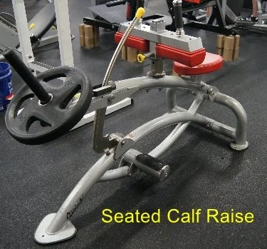 Seated Calf Raise.jpg