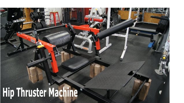 Hip Thruster Machine.jpg