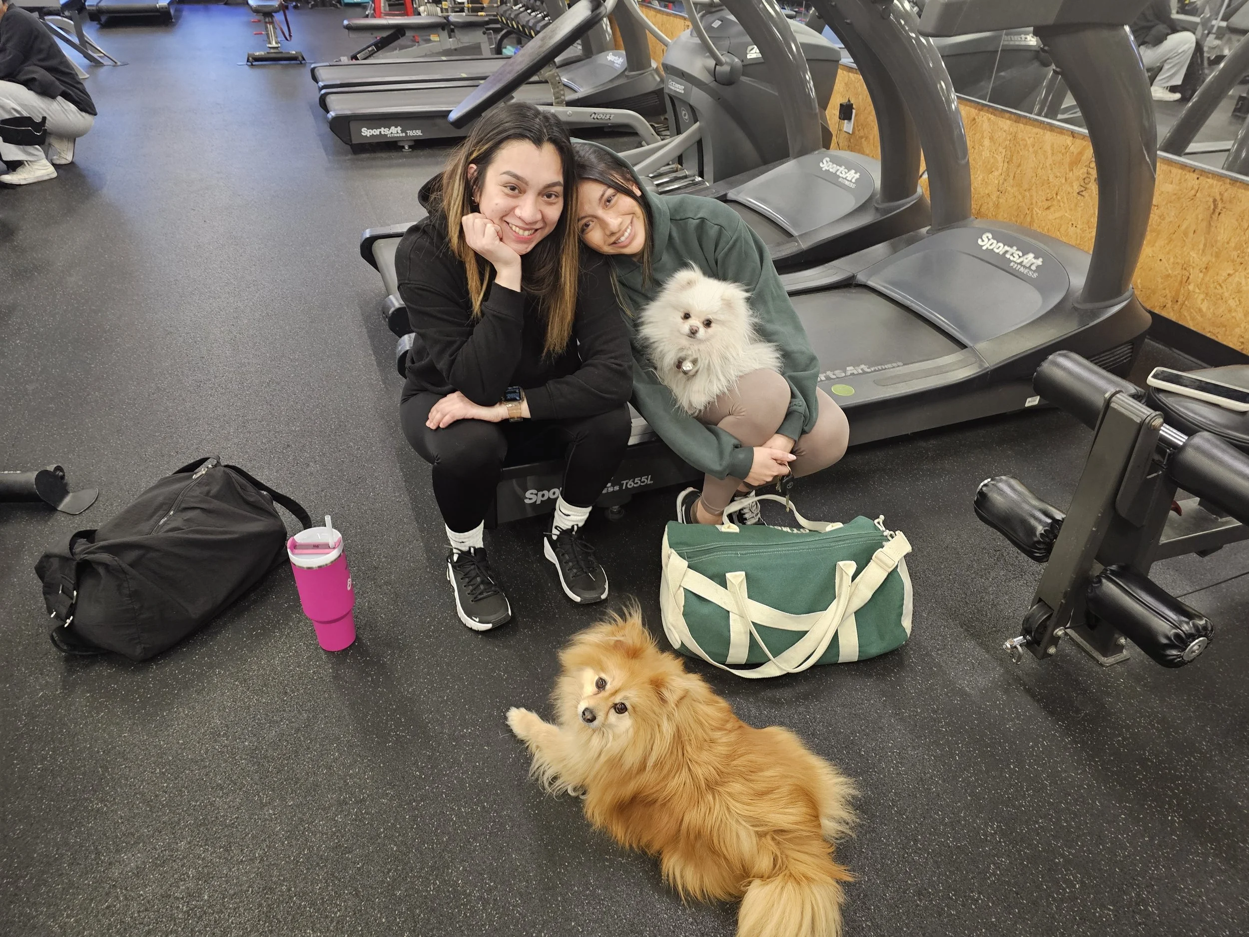 Erica, Keith, Stinker, and Tiger.jpg