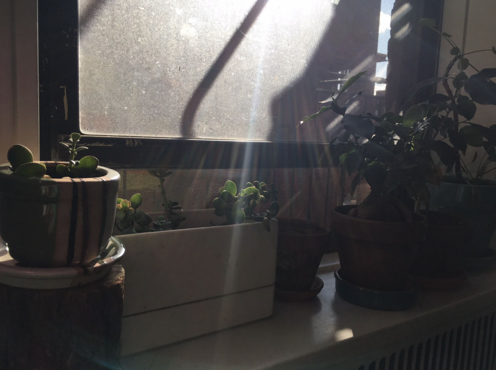Spring cleaning