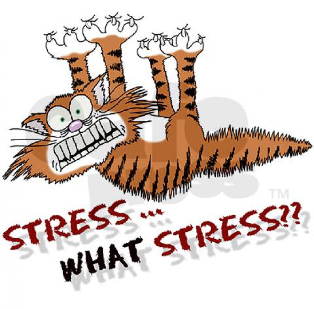 Stress…What Stress??