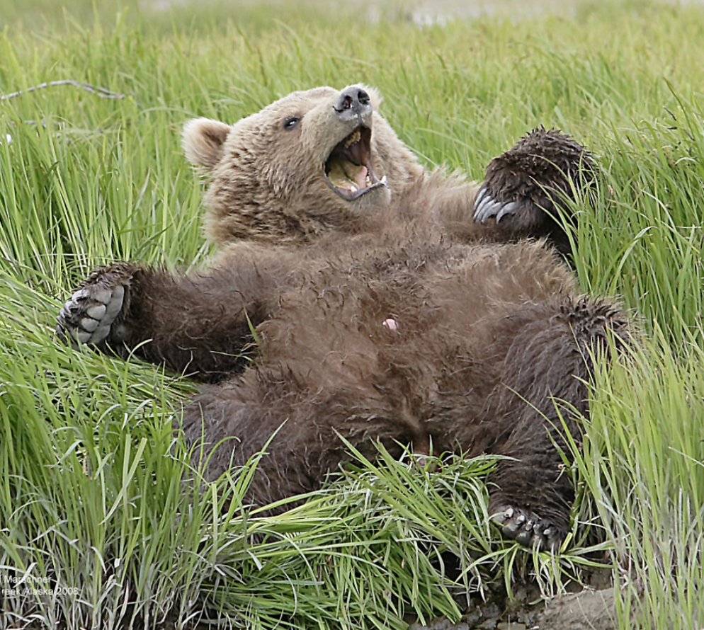 Coming out of Hibernation