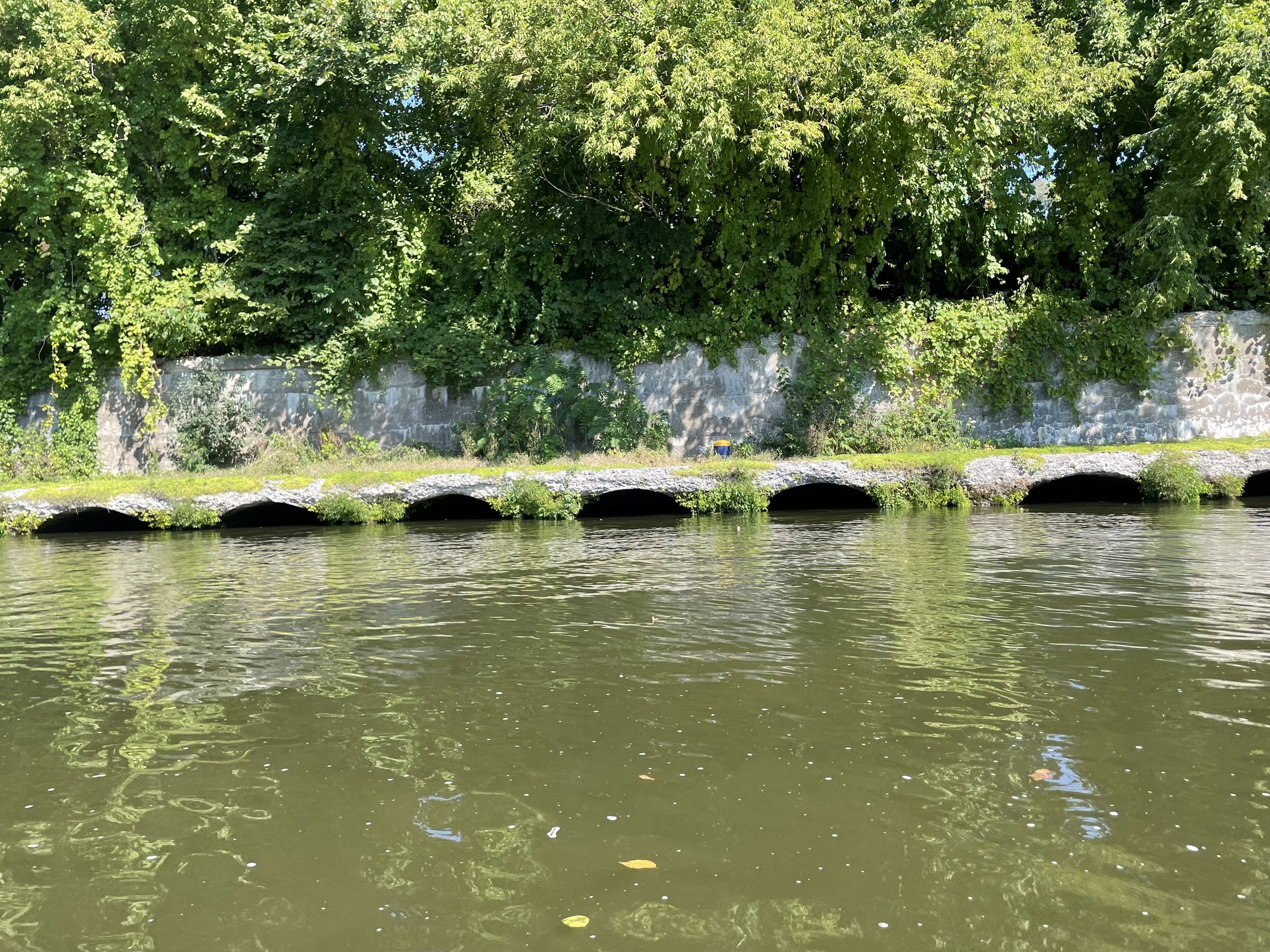 IMG_5788.jpeg