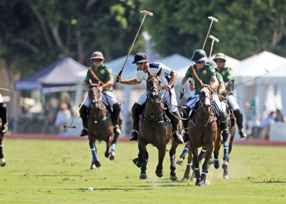 Polo 2.jpg