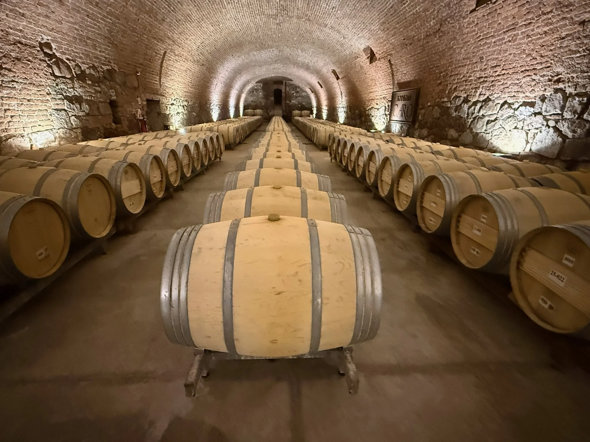 Scenes From Our Recon Visit20.jpeg