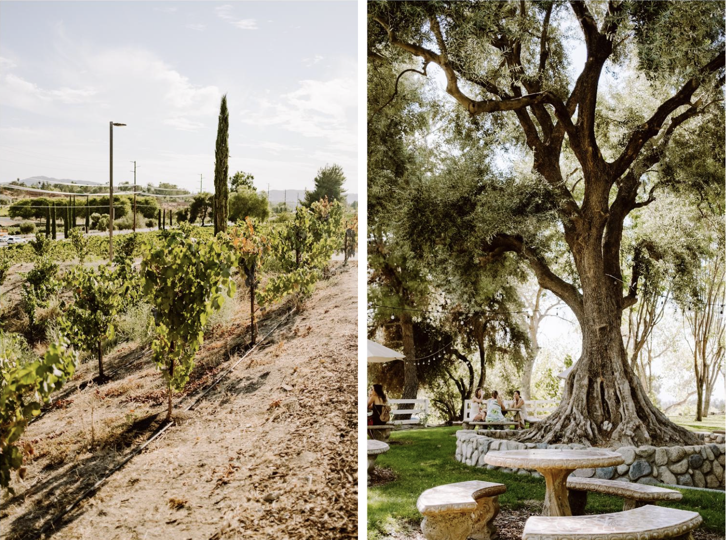 Screenshot 2026-01-23 at 8.03.53 AM.png