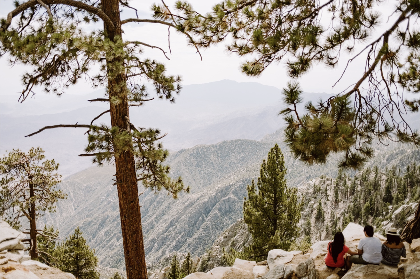 Screenshot 2026-01-23 at 8.03.27 AM.png