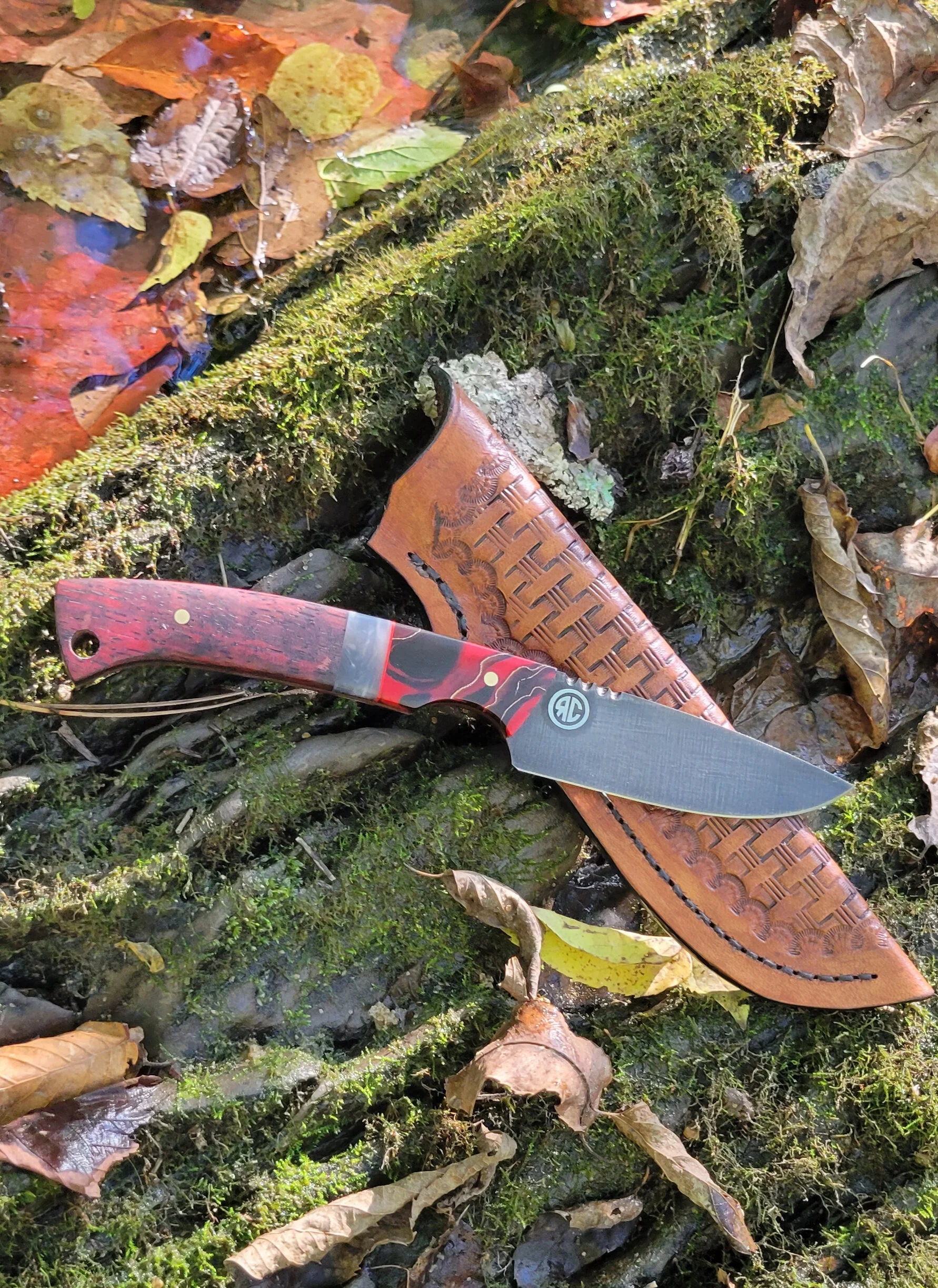 Jungle Cat 06