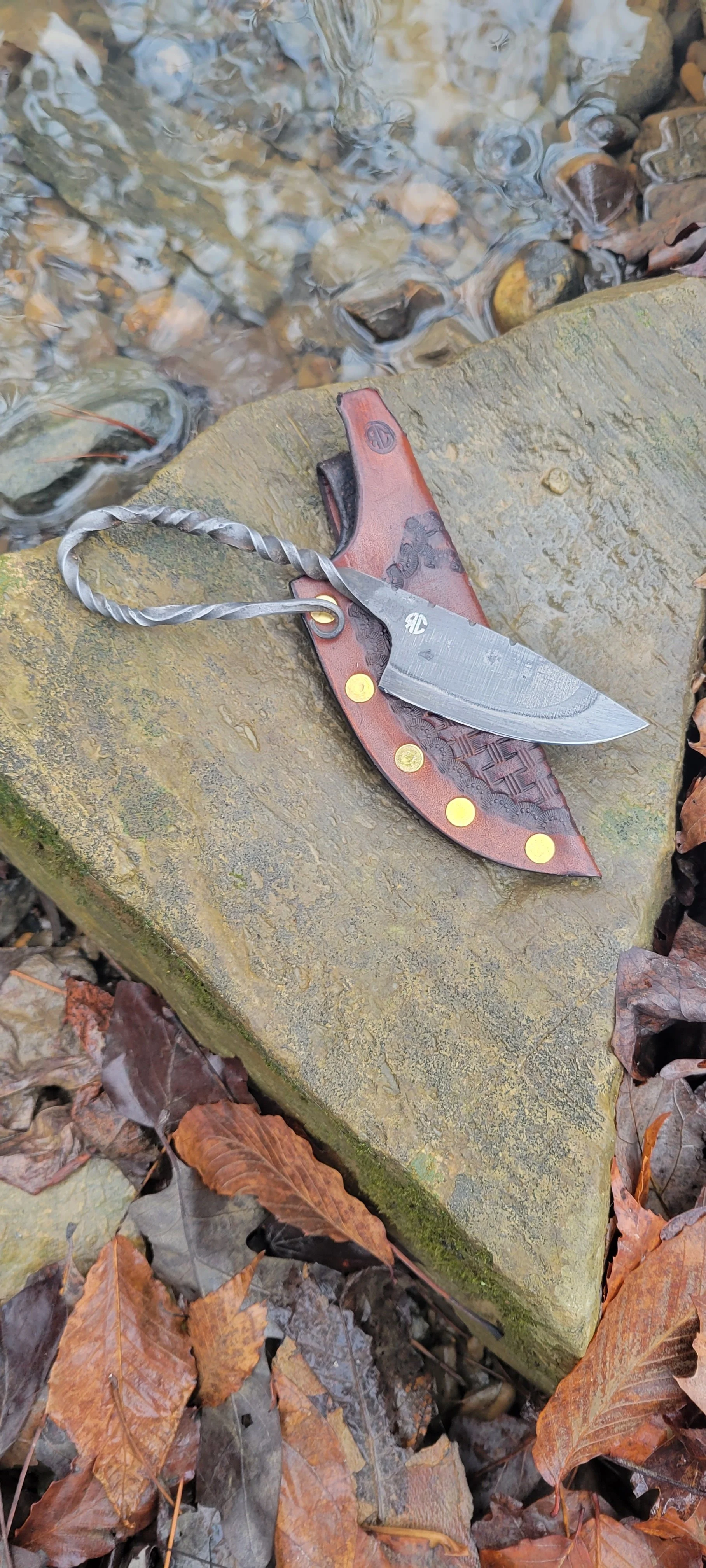 Tadpole 010