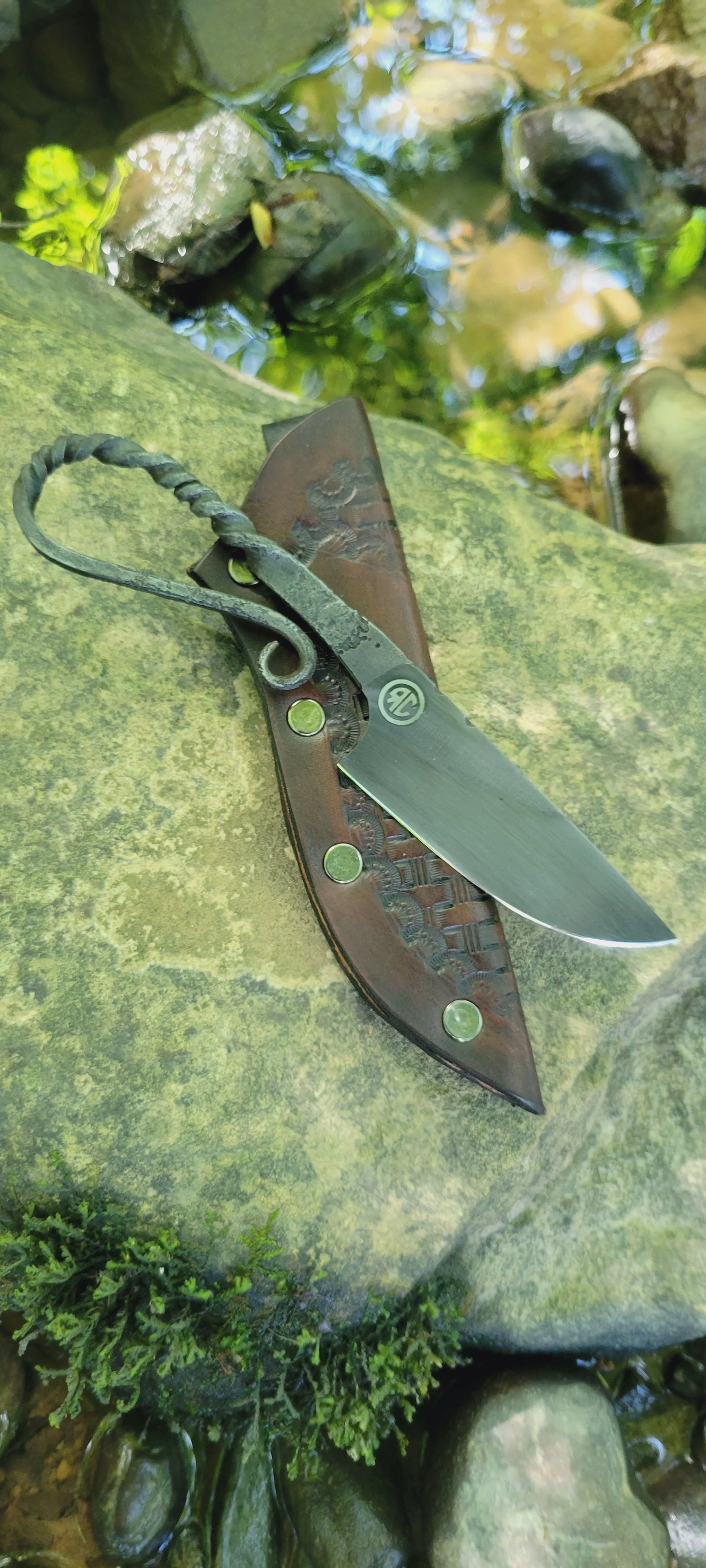 Tadpole 012