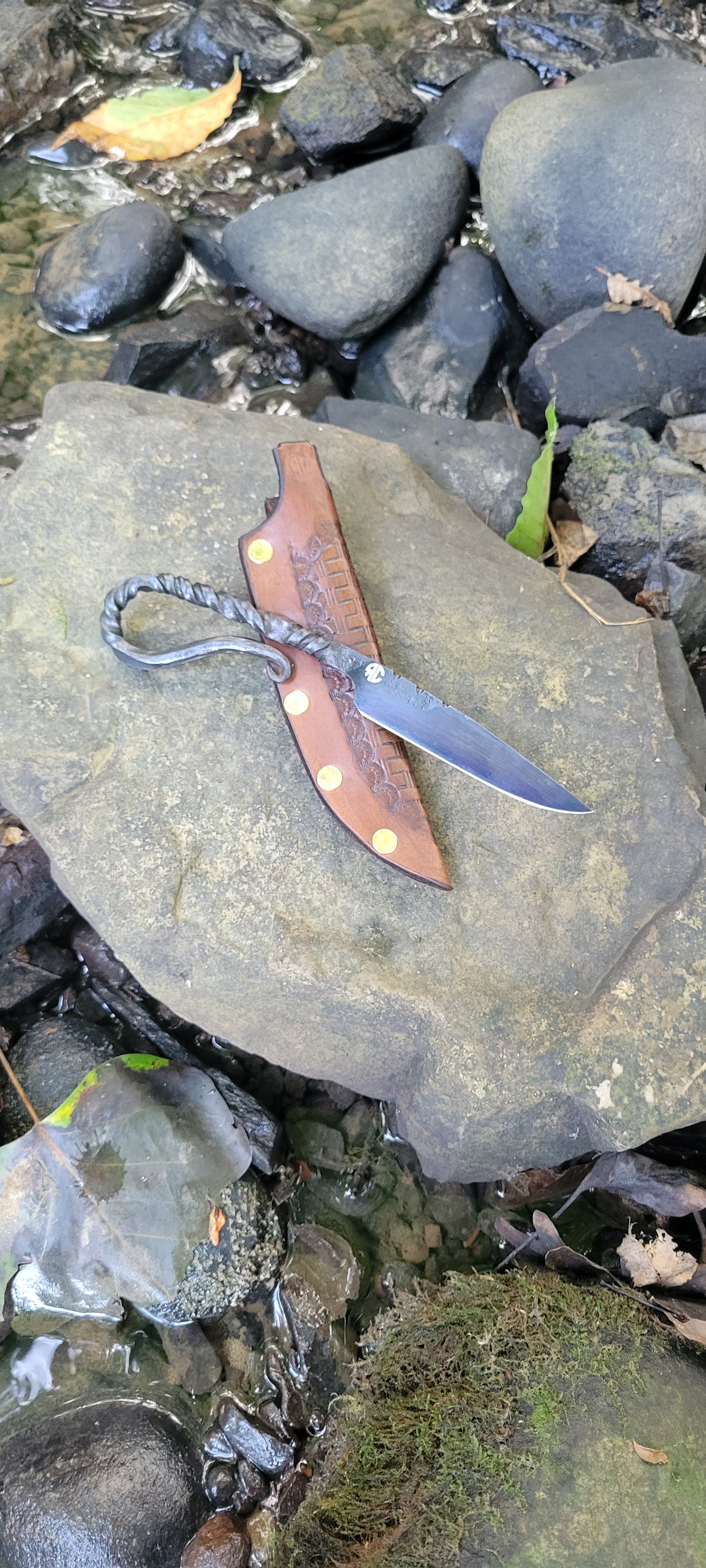 Tadpole 014