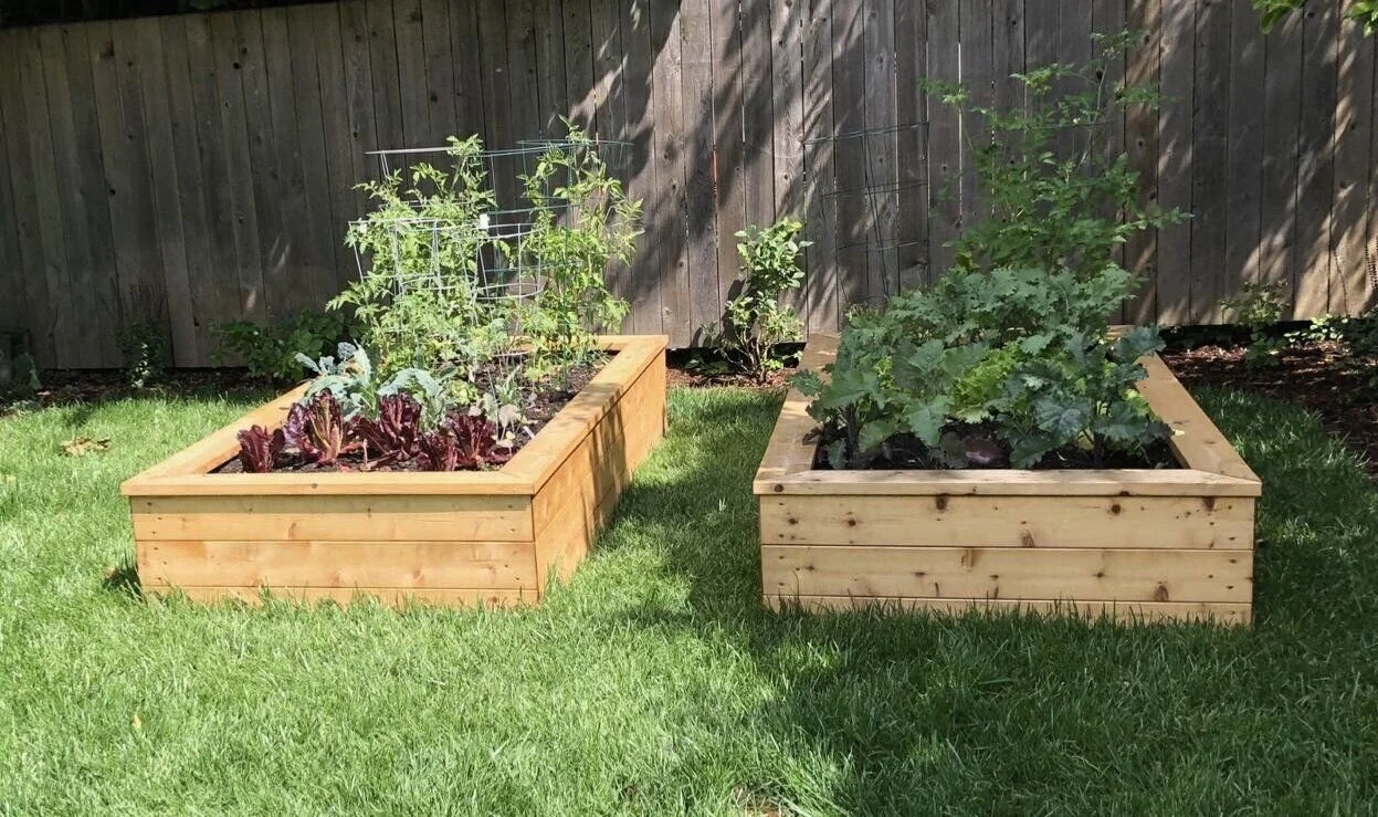 cedar_raised_planter_bed.jpeg