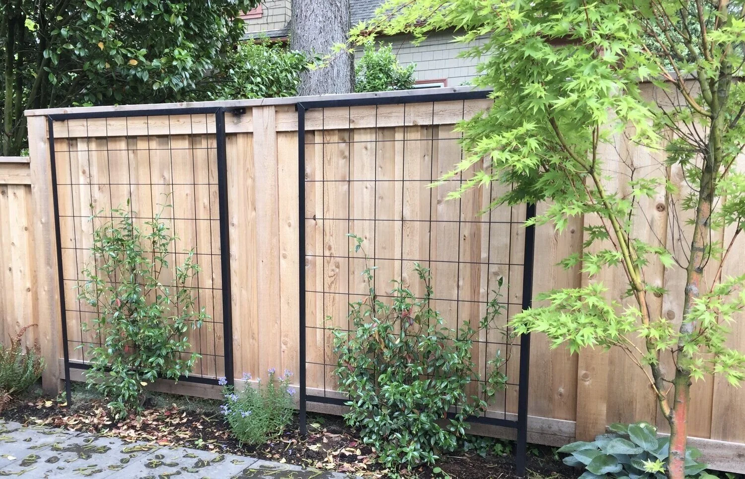 steel_metal_trellis_landscape.jpeg