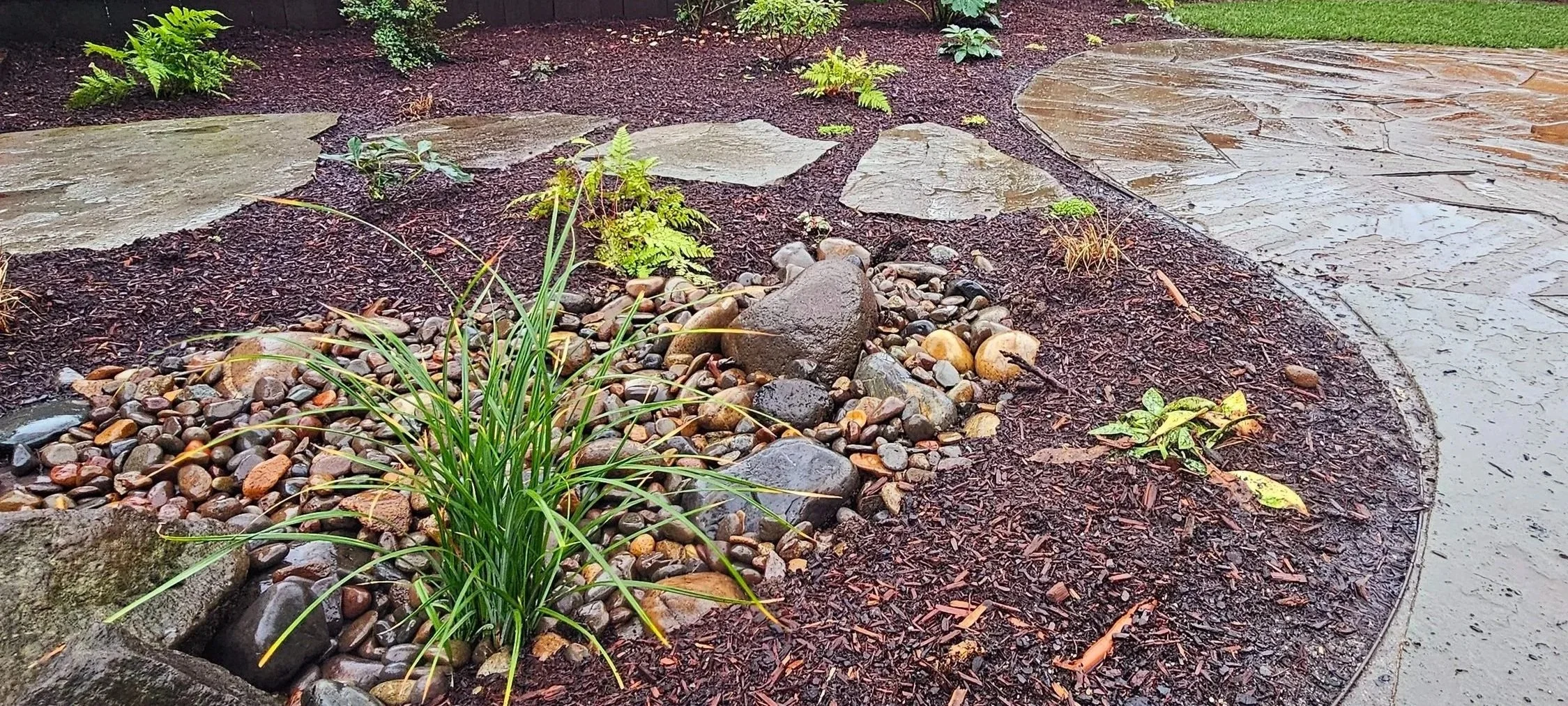 Rain Garden along Patio