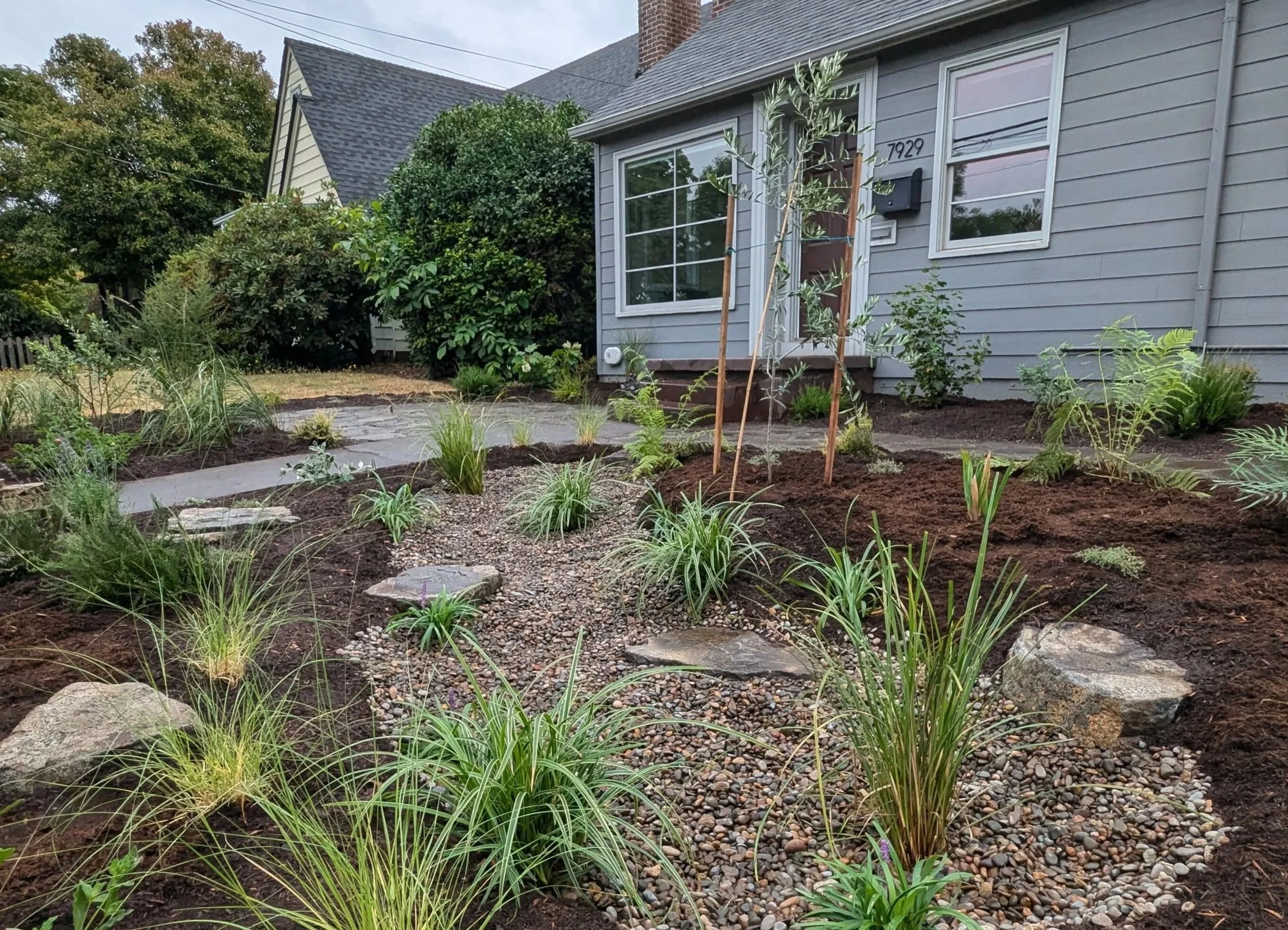 Large Front Yard Rain Garden