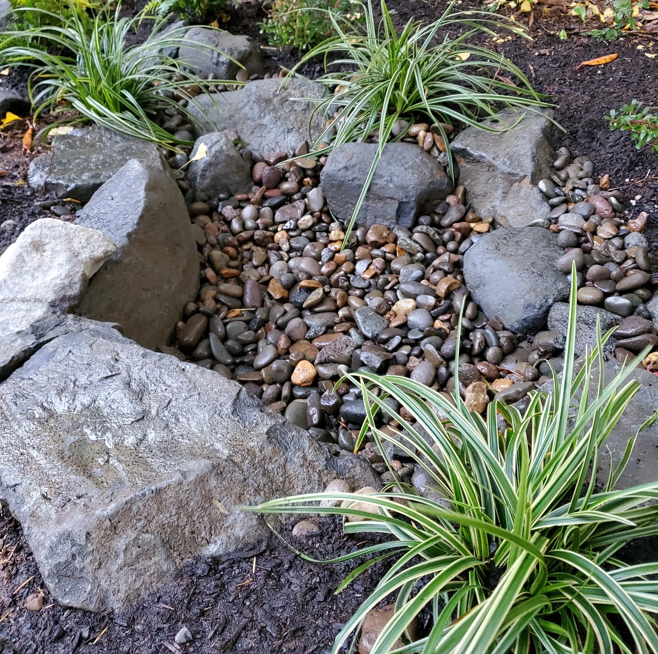 Rain Garden with Boulders and Carex