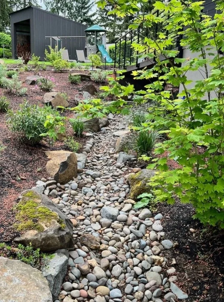 Large Bioswale along House