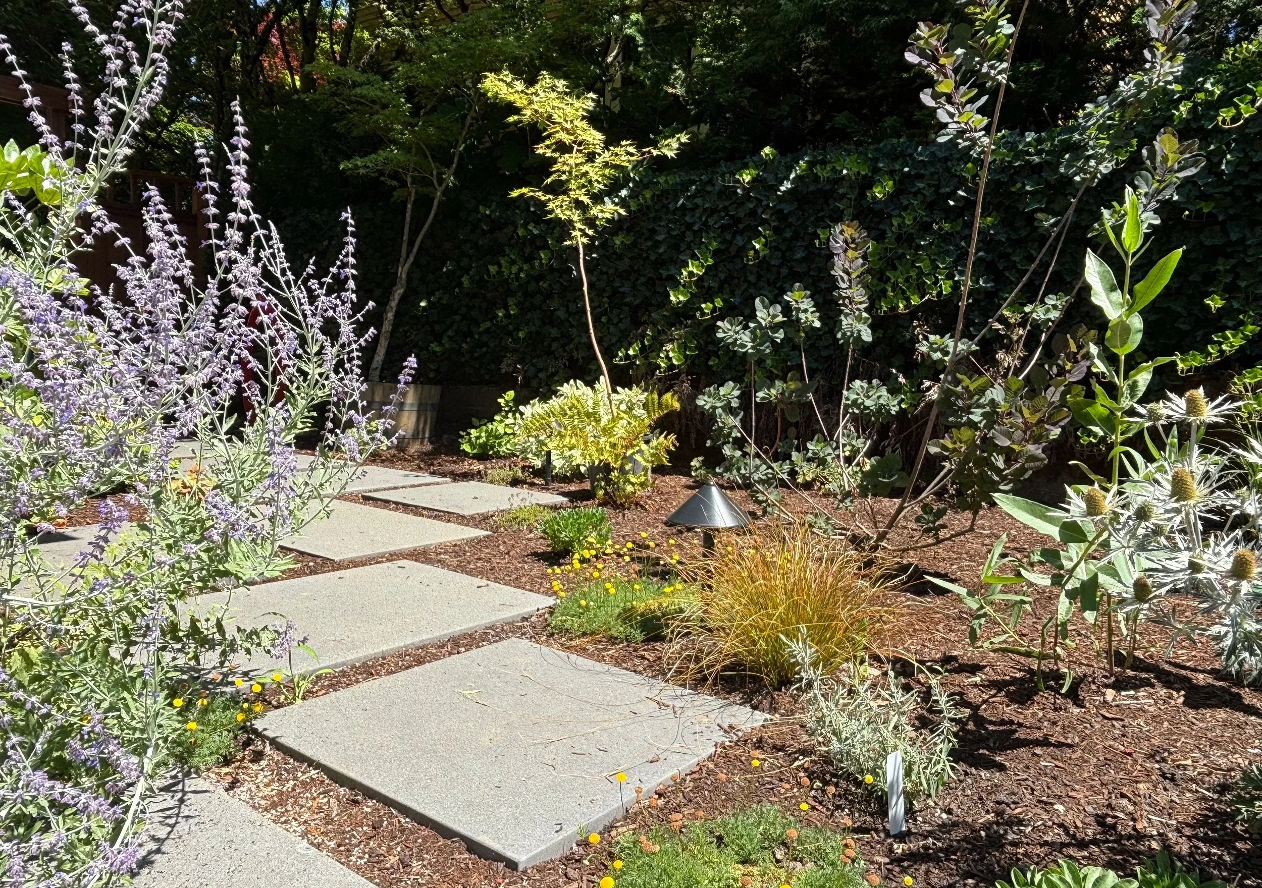 floating modern architectural slab pathway