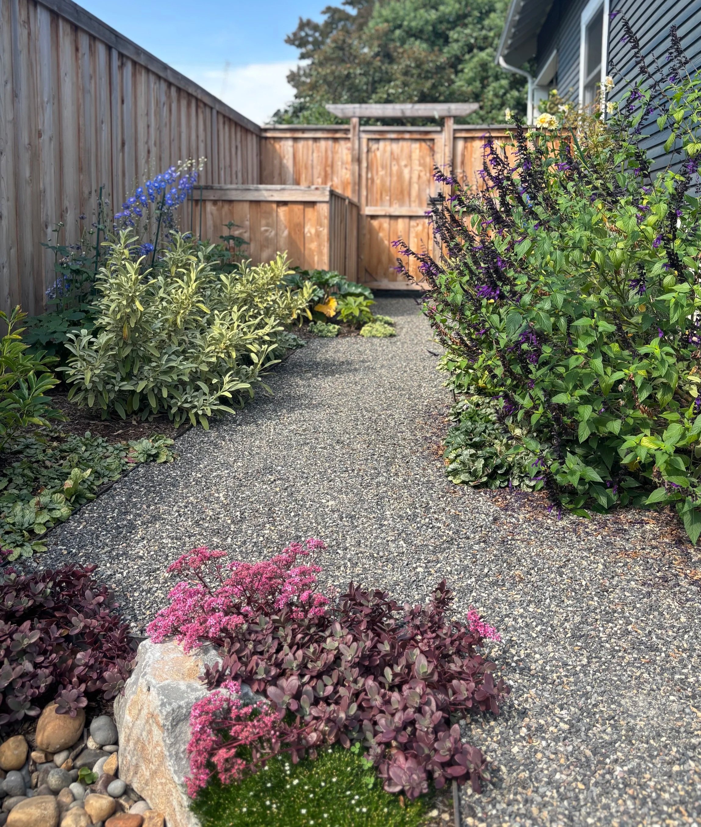 lush gravel pathway side yard