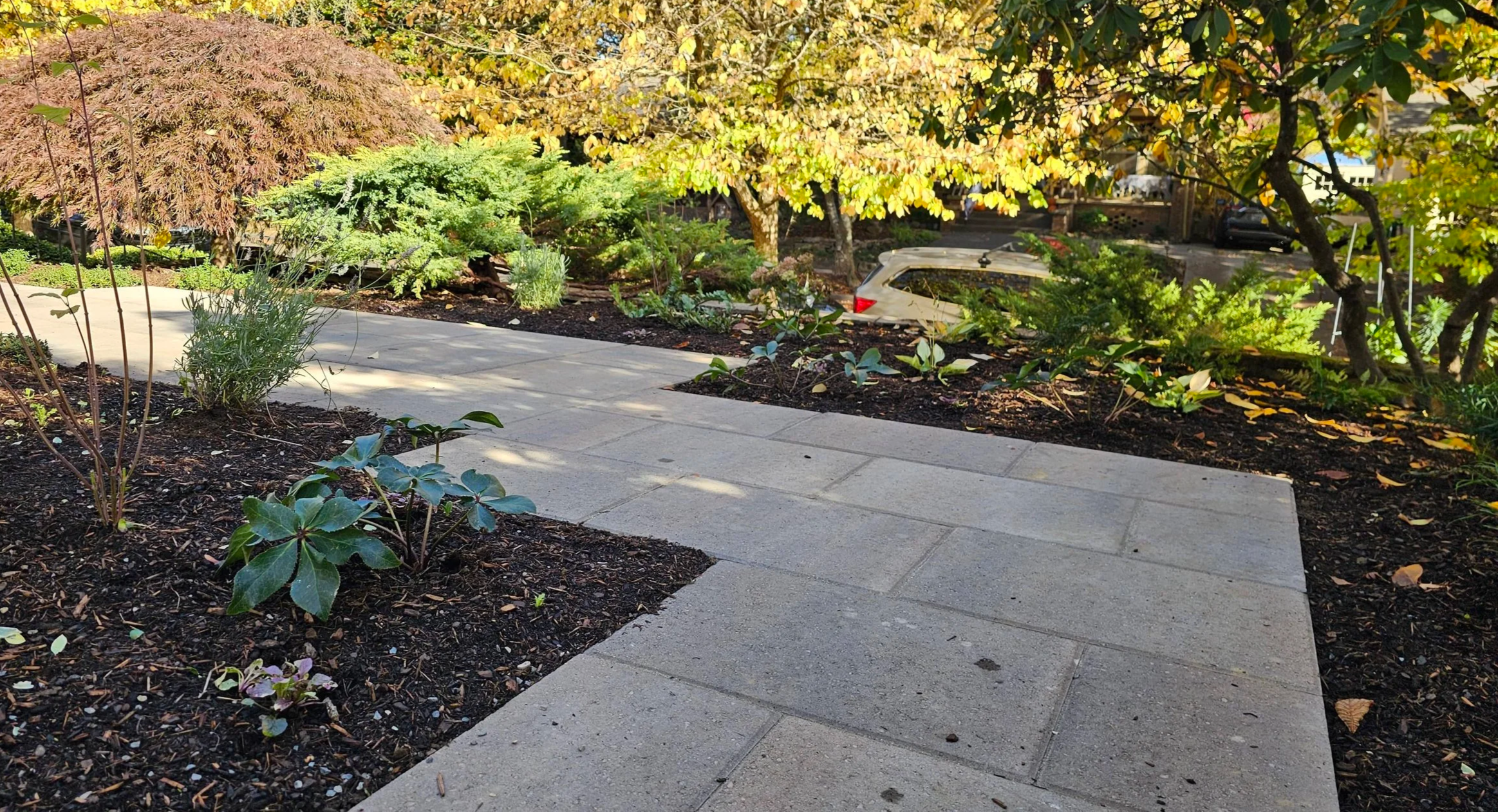 linear modern paver pathway