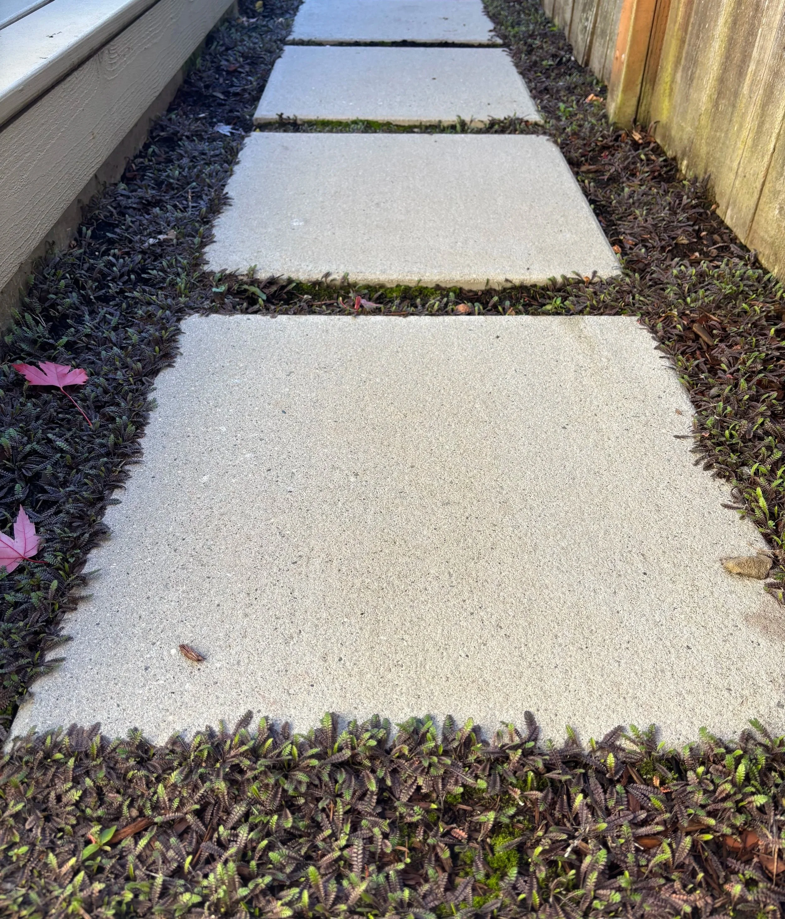 architectural slab pathway