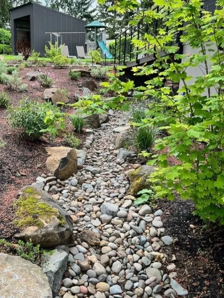 Large Bioswale along House