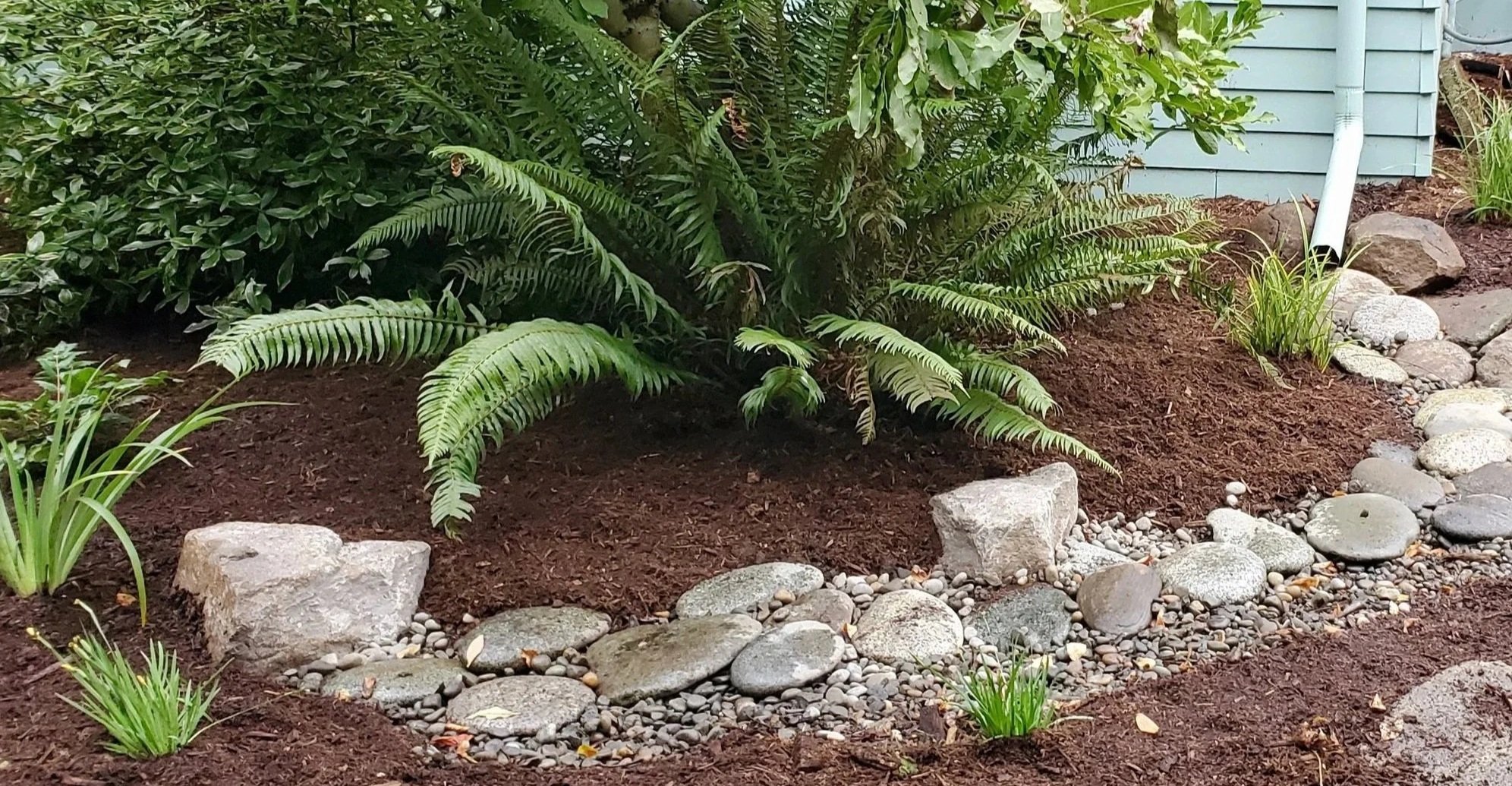 Rain Garden with special rocks