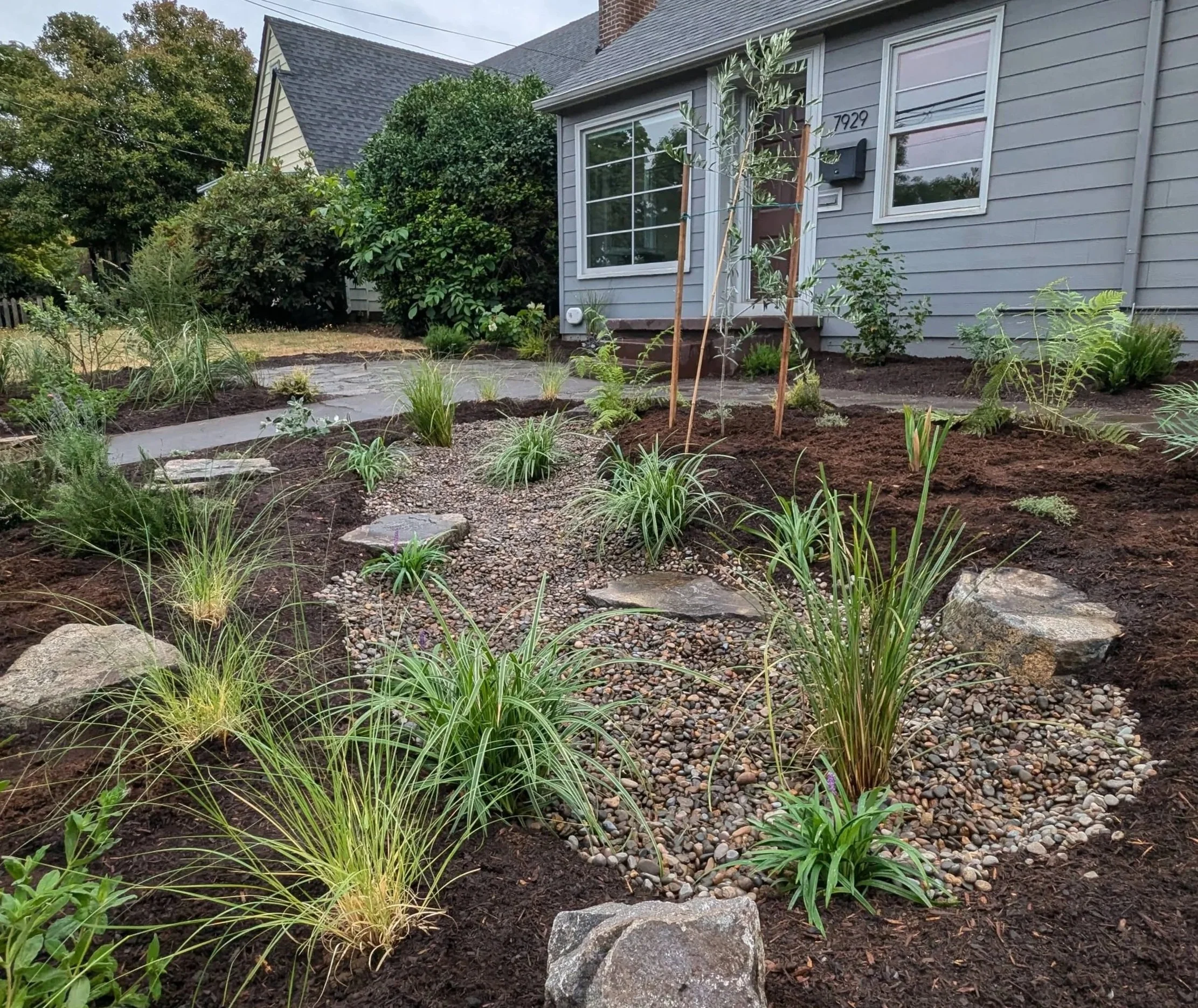 large front yard rain garden