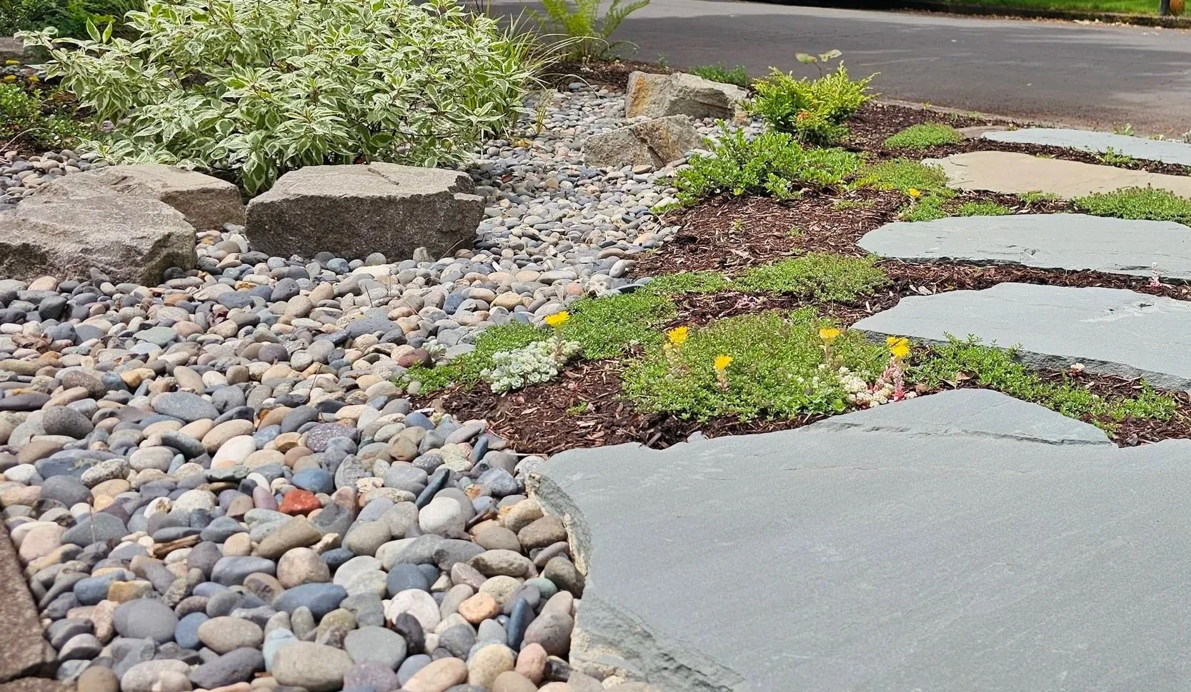 parking strip bioswale rain garden with stepping stones
