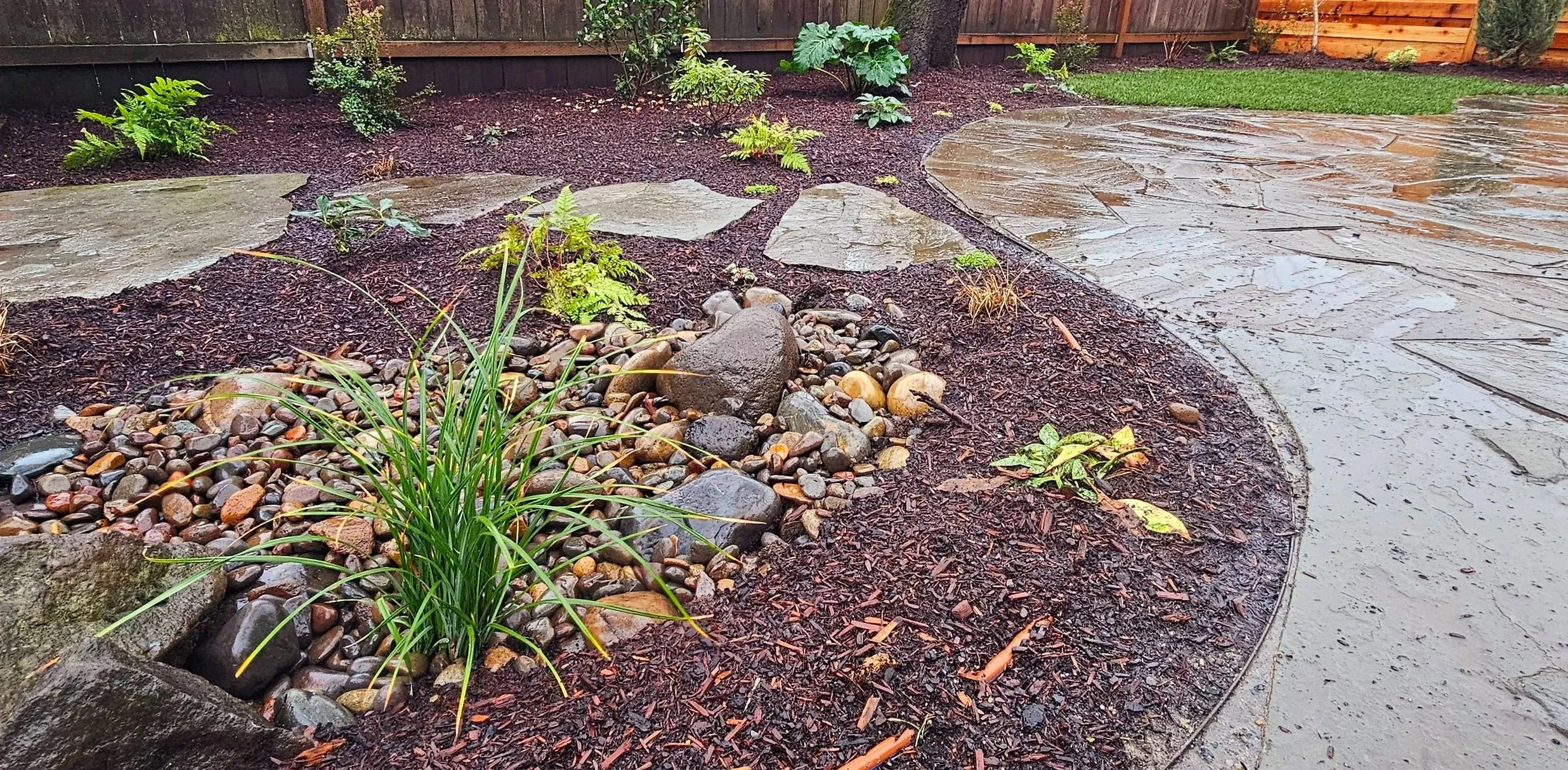 rain garden along patio