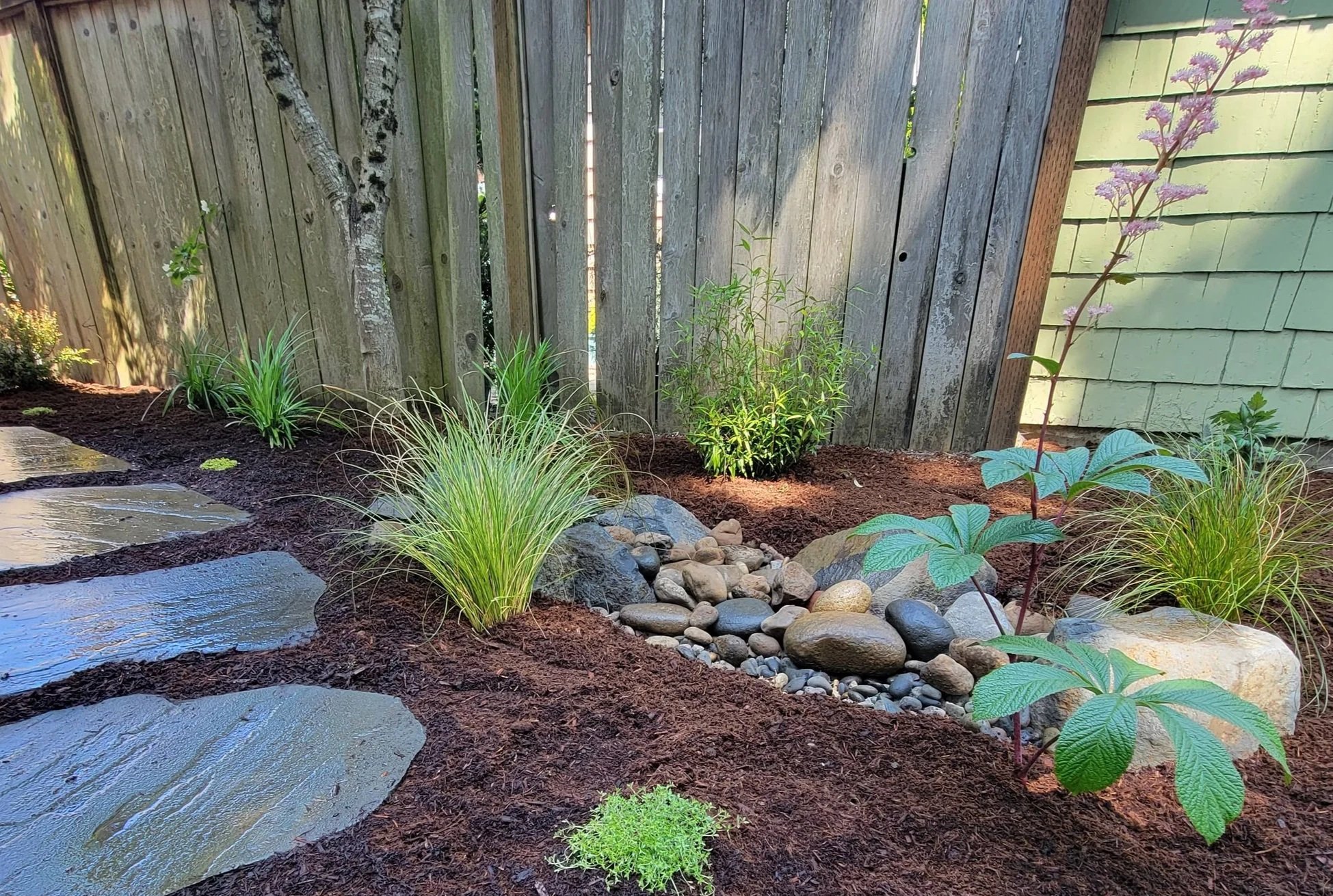 rain garden with pathway along side