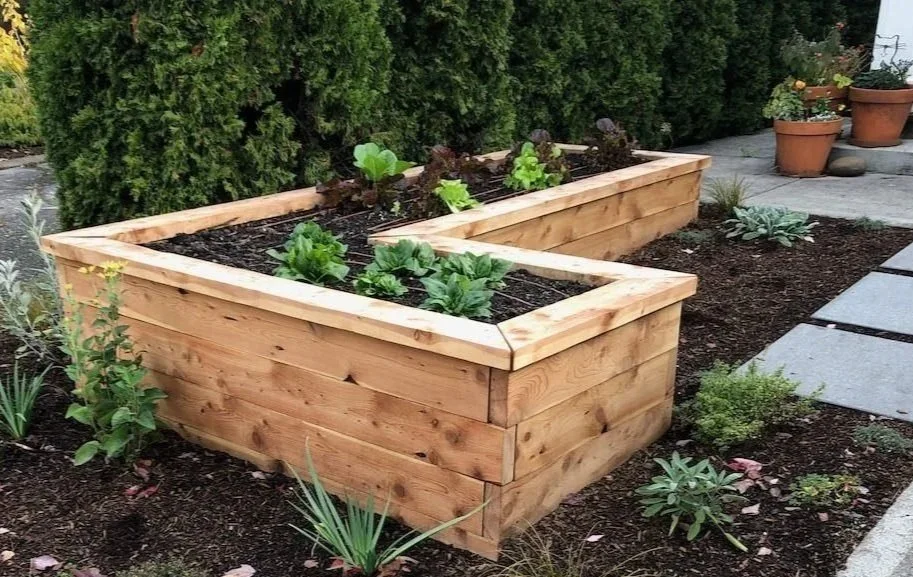 L-Shaped Raised Juniper Bed
