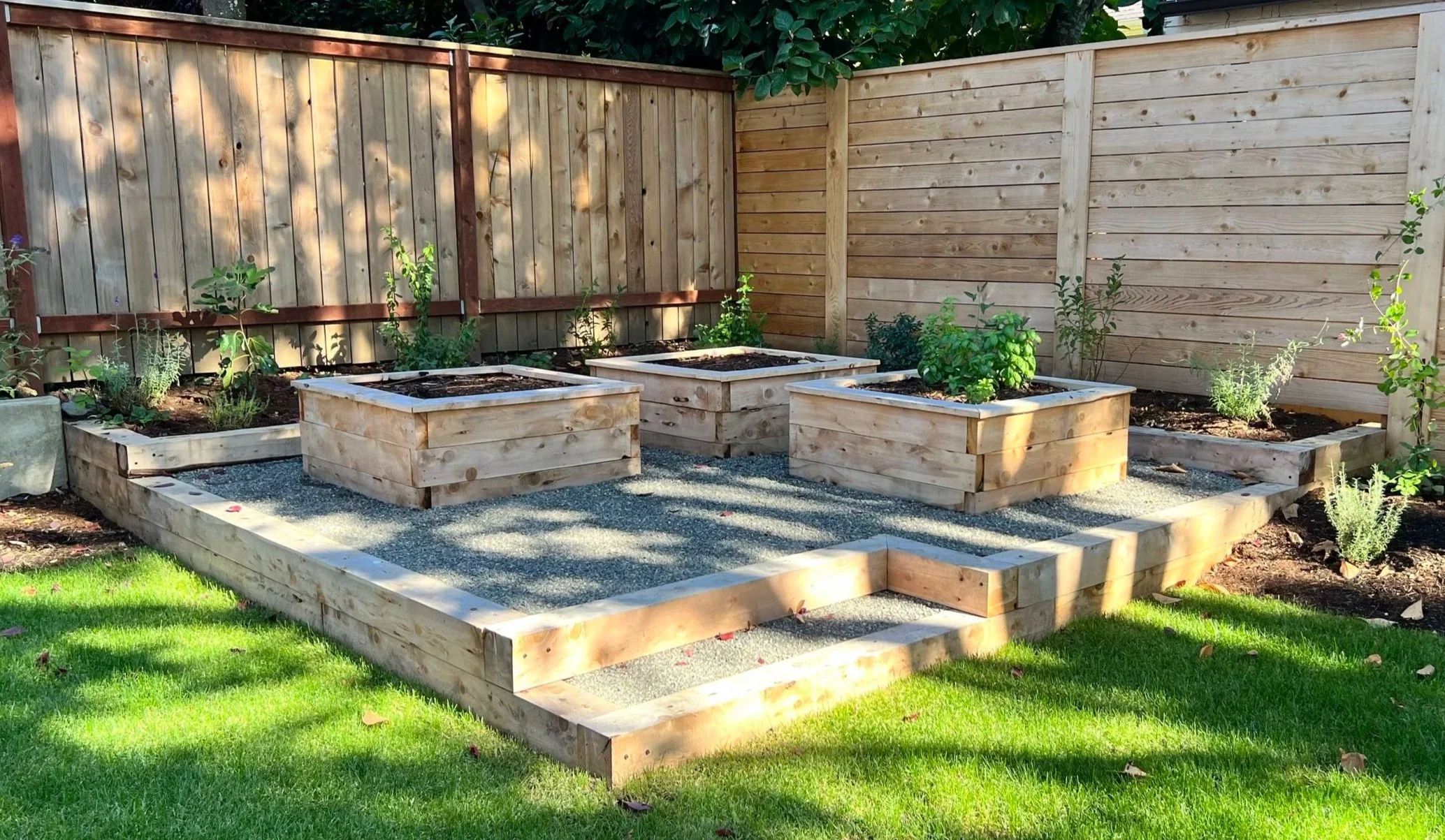 raised juniper beds 