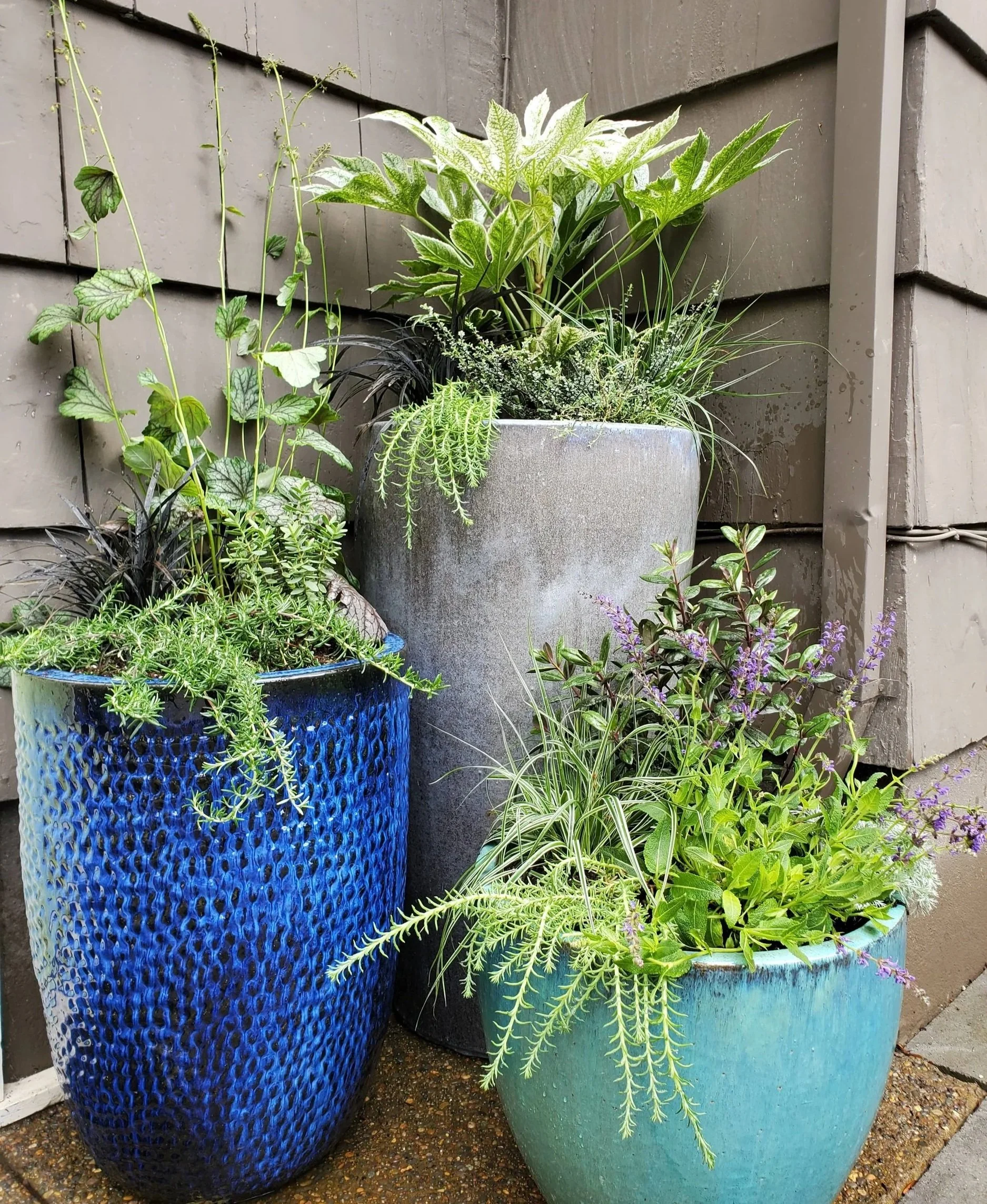 ceramic planter design