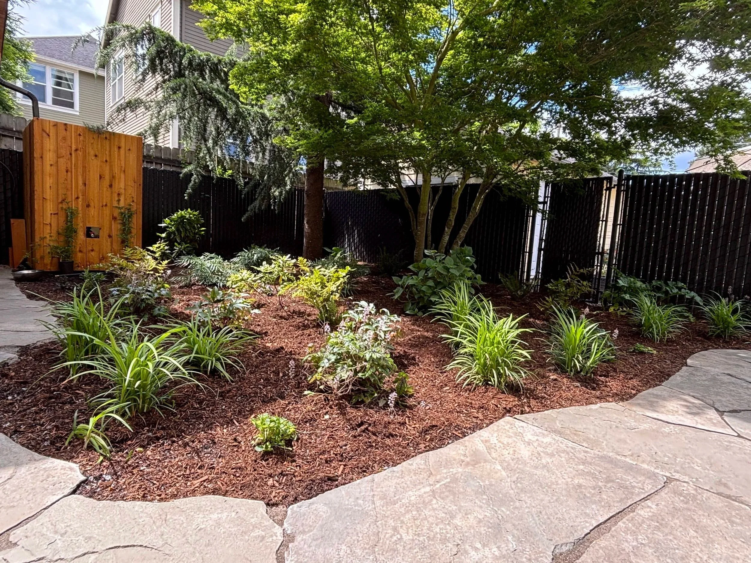 back yard understory garden