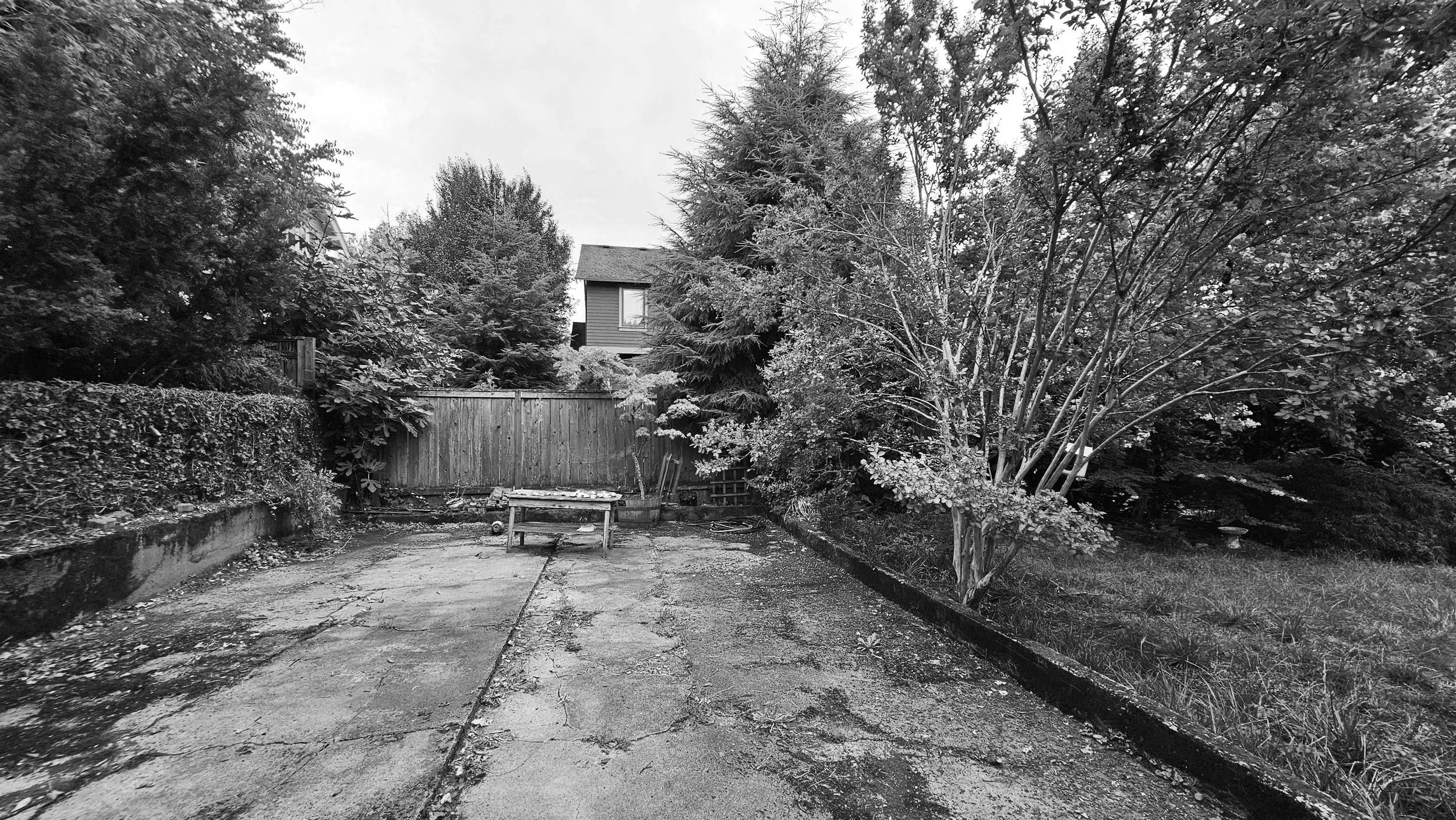 before back yard landscape transformation portland oregon