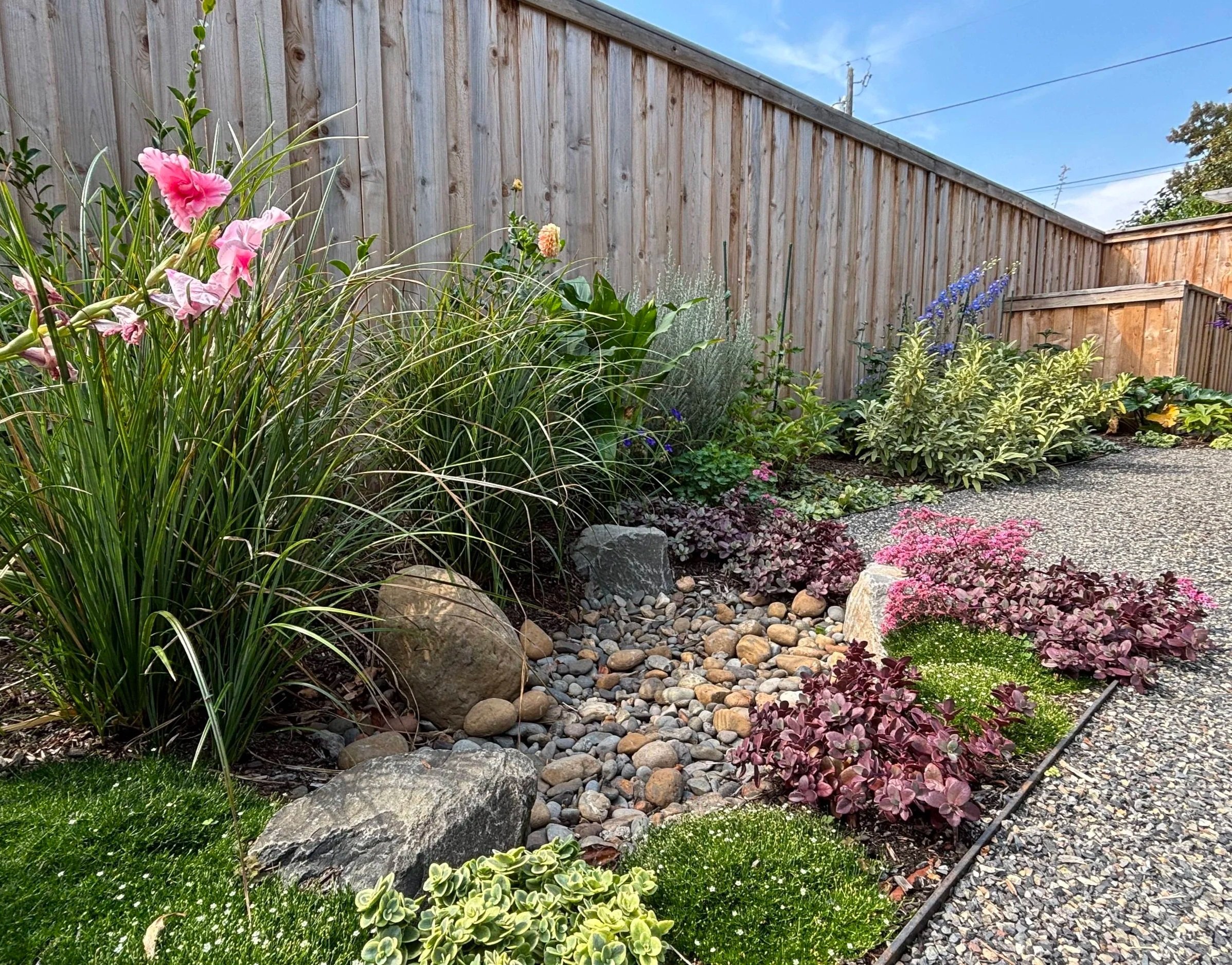colorful rain garden