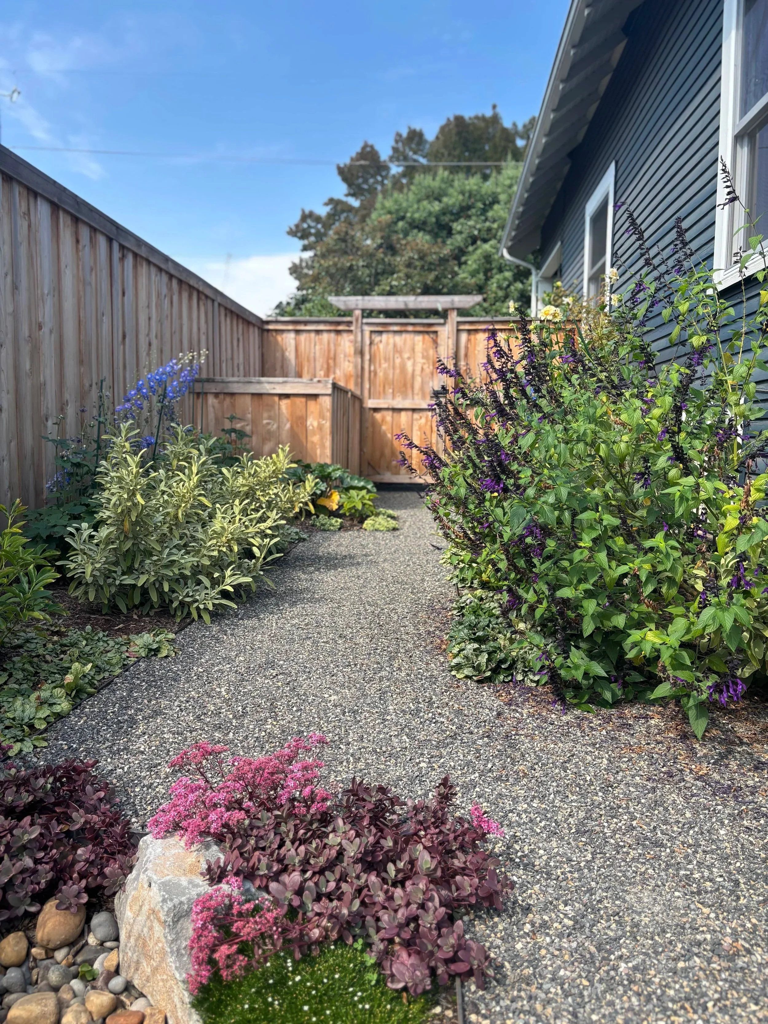 side gravel pathway, lush garden garbage enclosure