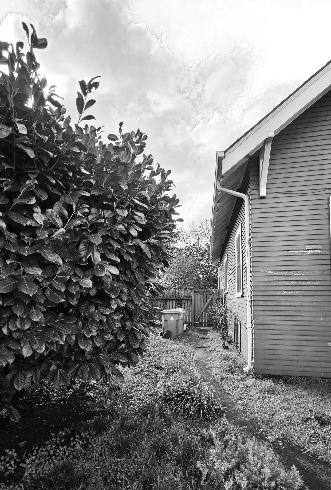 before landscape installation portland oregon