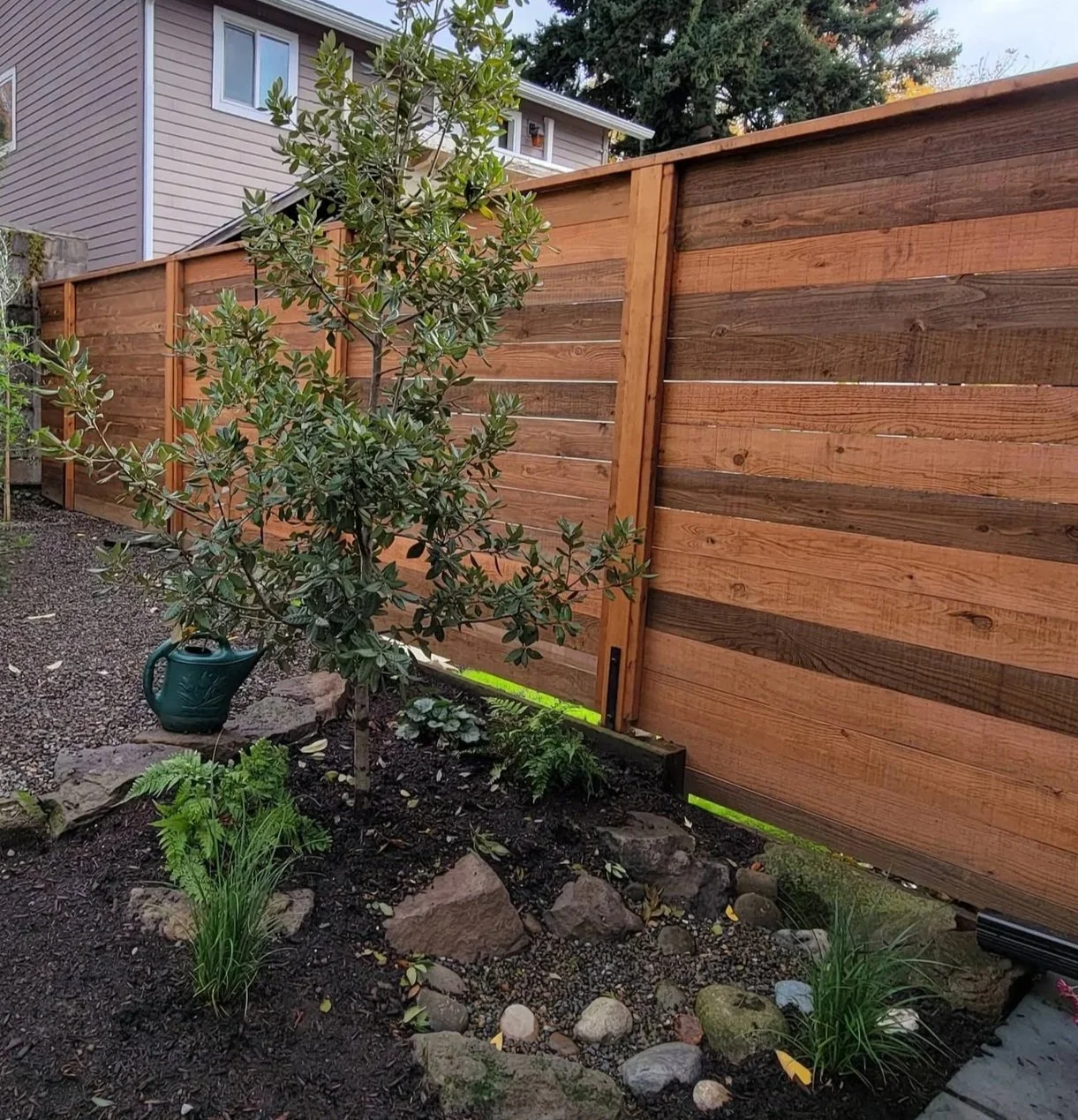 horizontal fence and rain garden