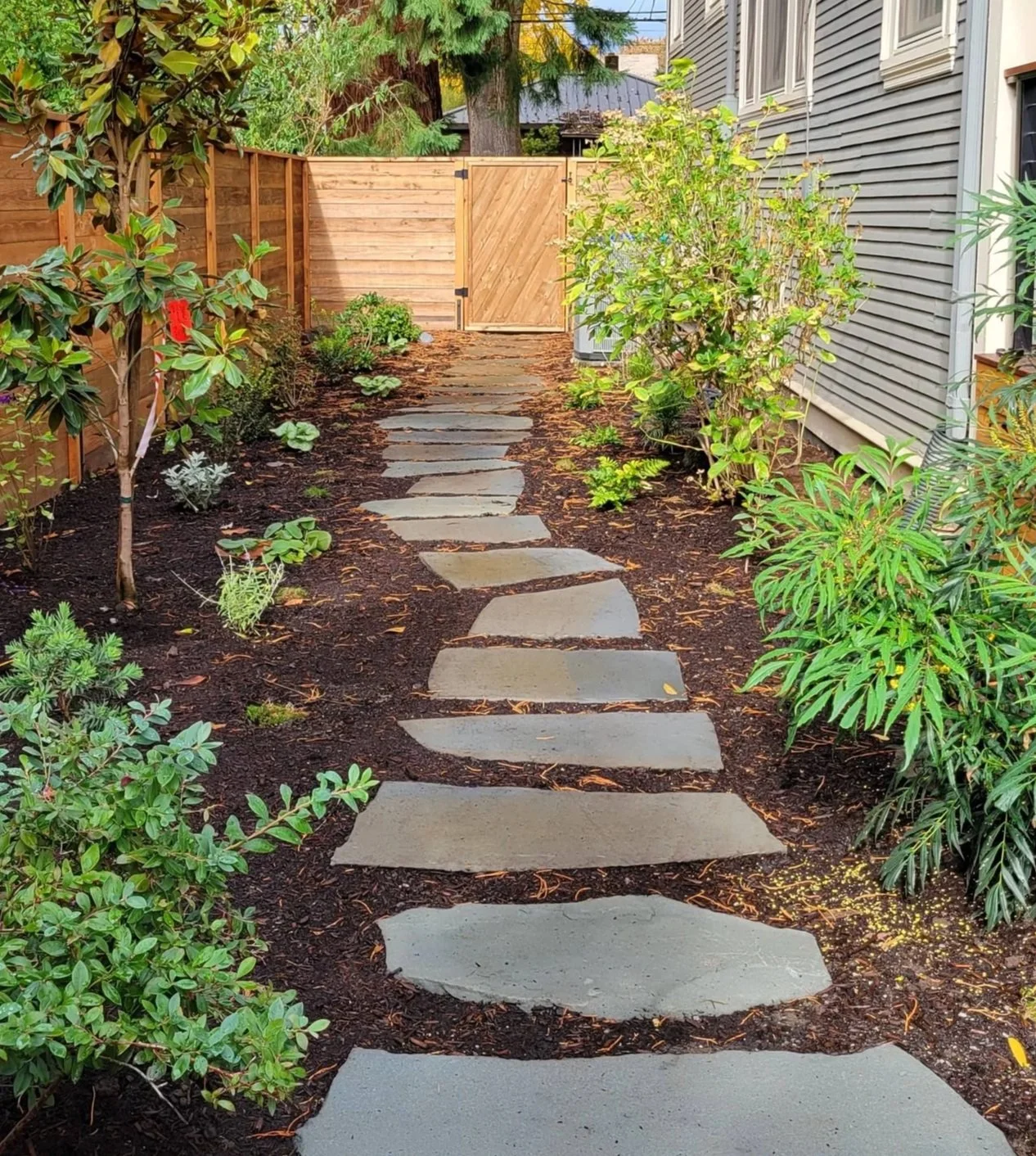 flagstone stepping stone pathway floating through mulch