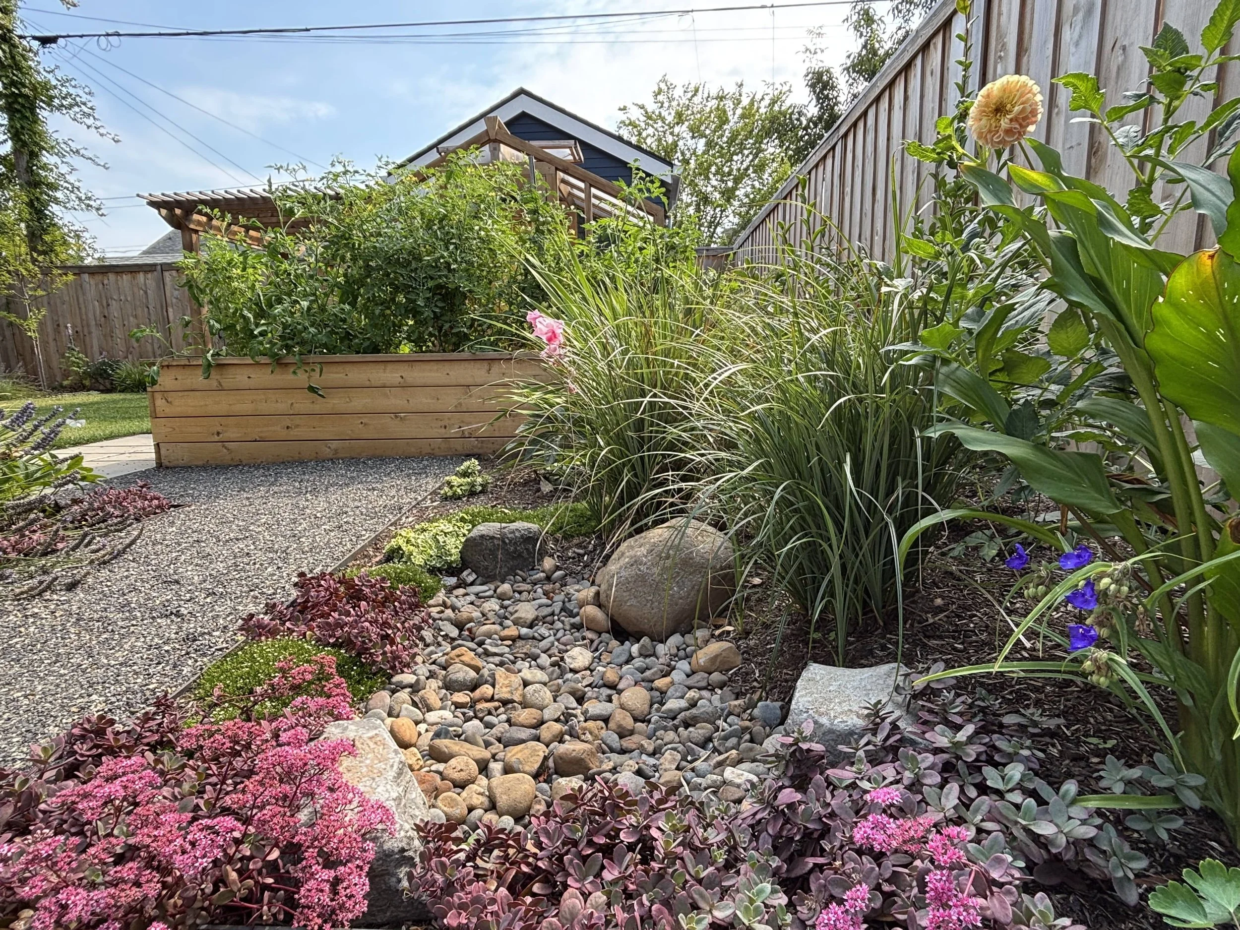 lush side pathway gravel edged in steel