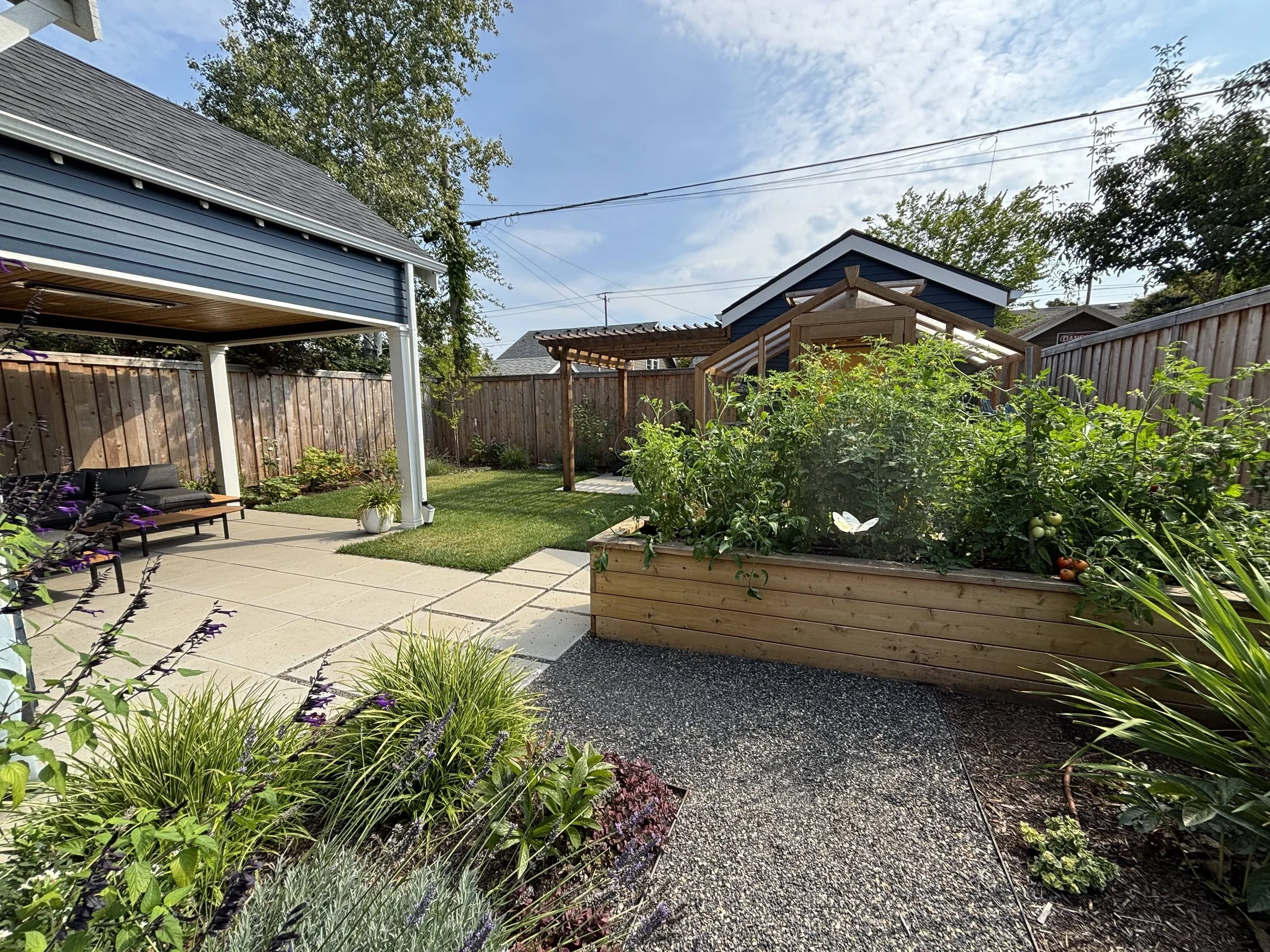 urban back yard garden modern