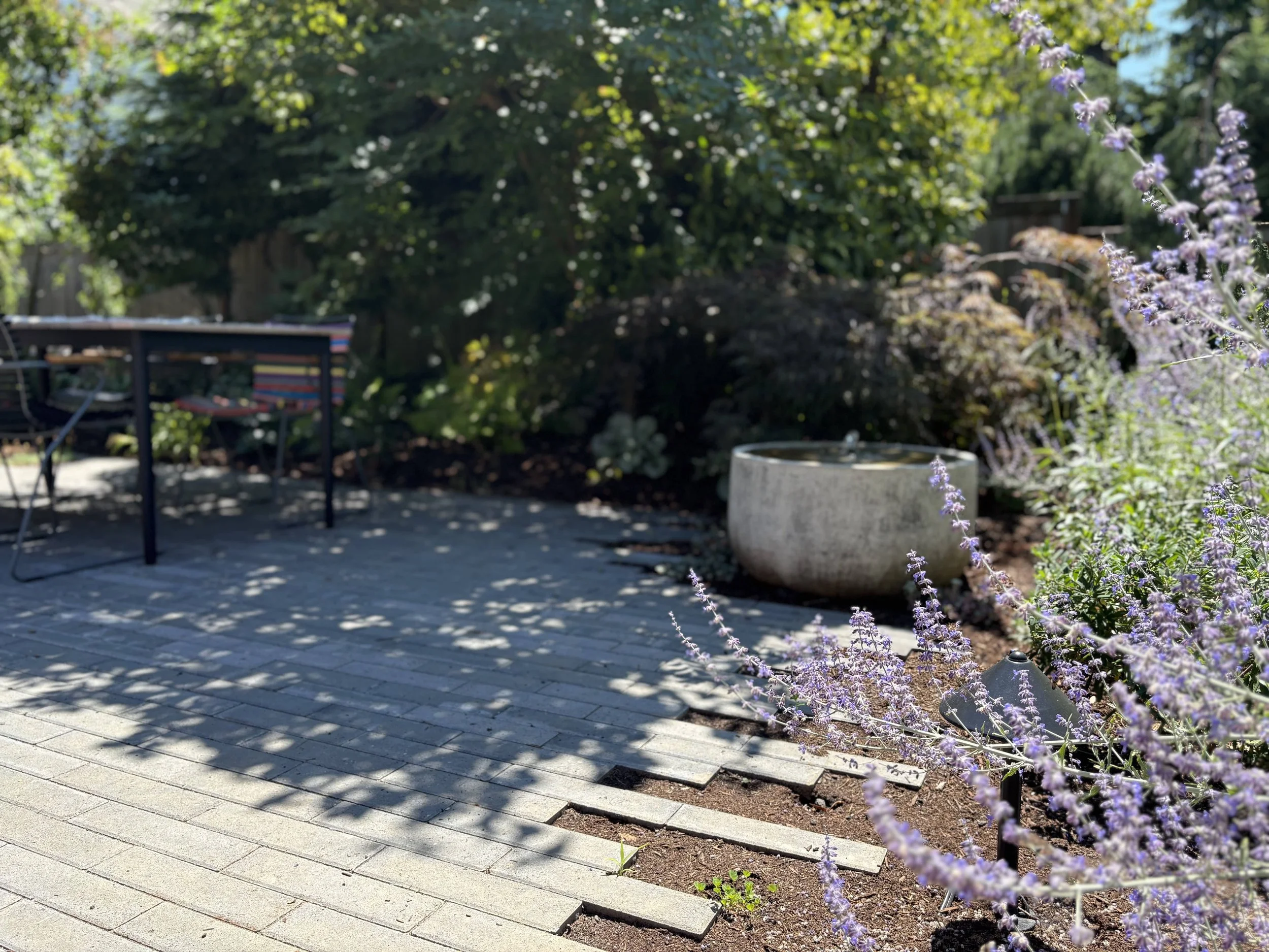 modern back yard design